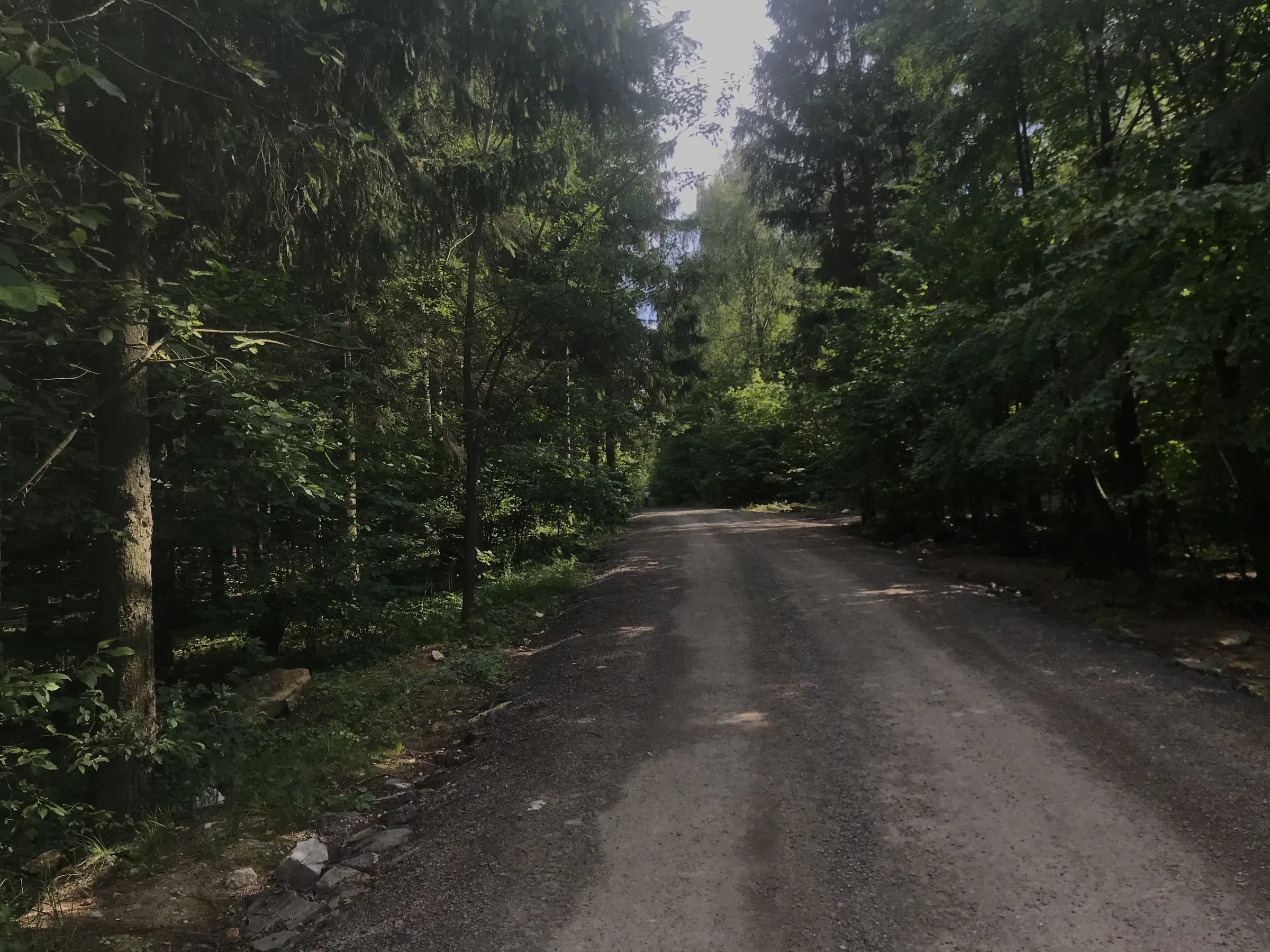 Лесное озеро с берегом, фото 17