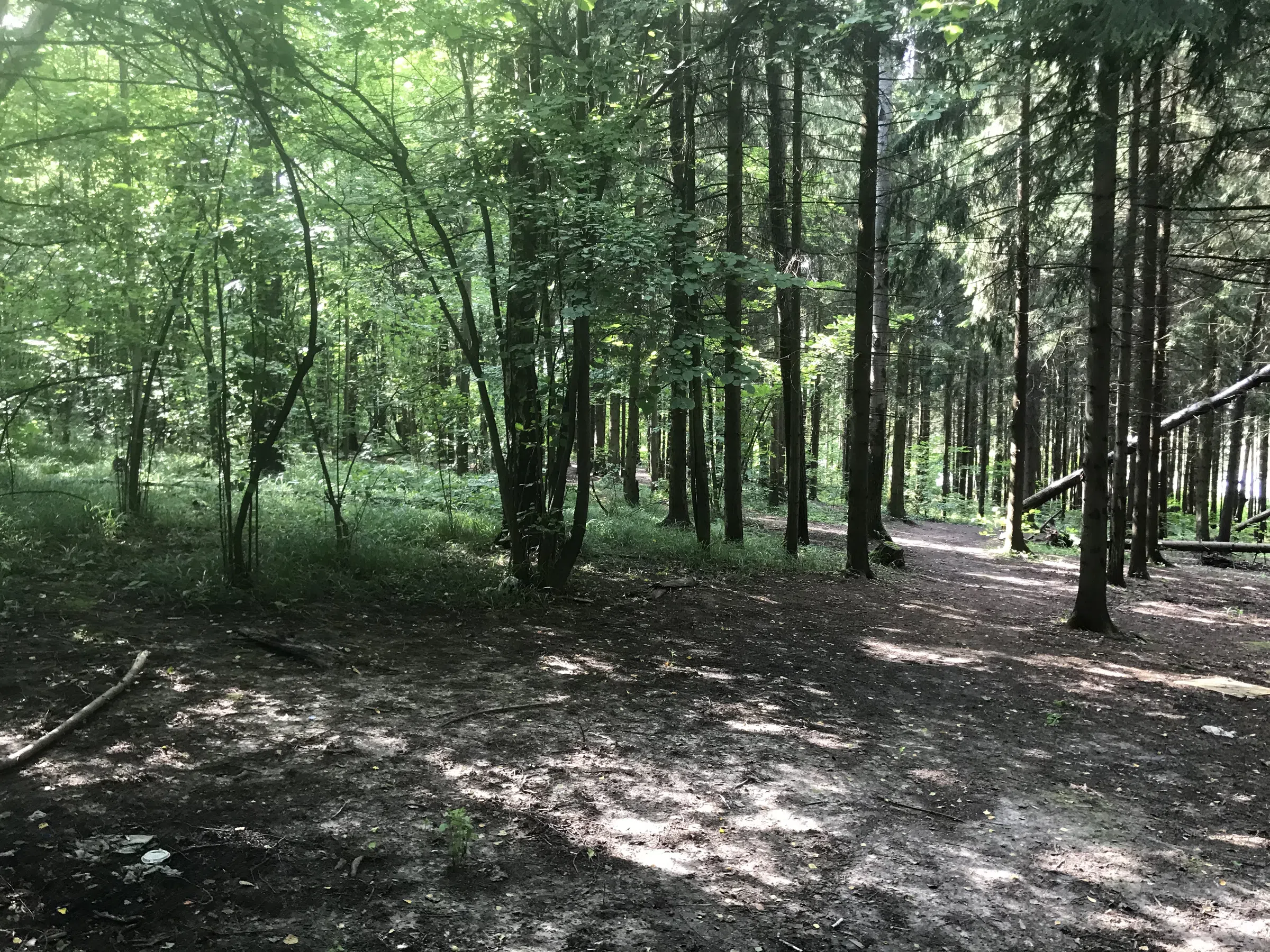 Лесное озеро с берегом, фото 23