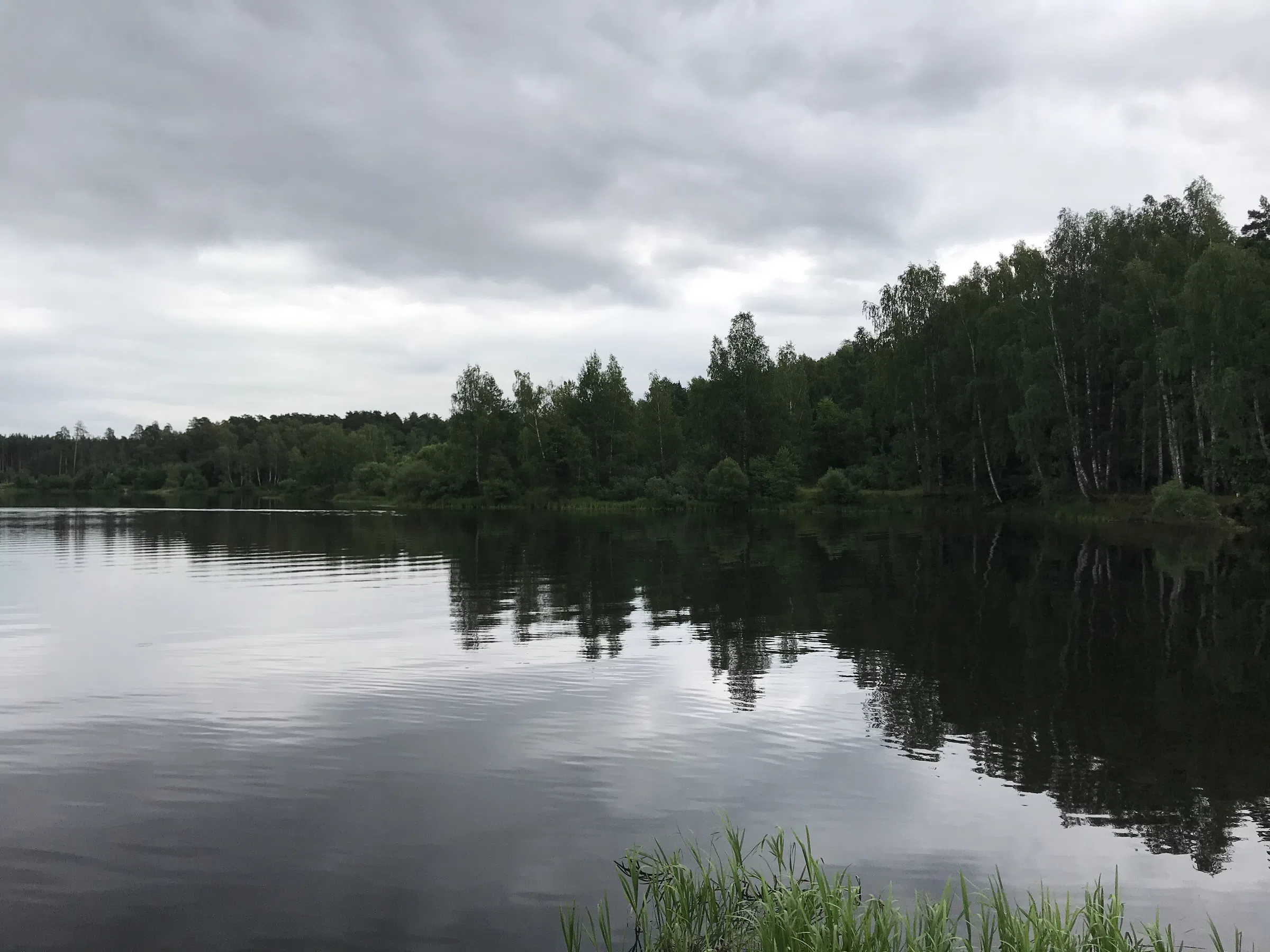 Зеркальный Лес с Берегом, фото 16