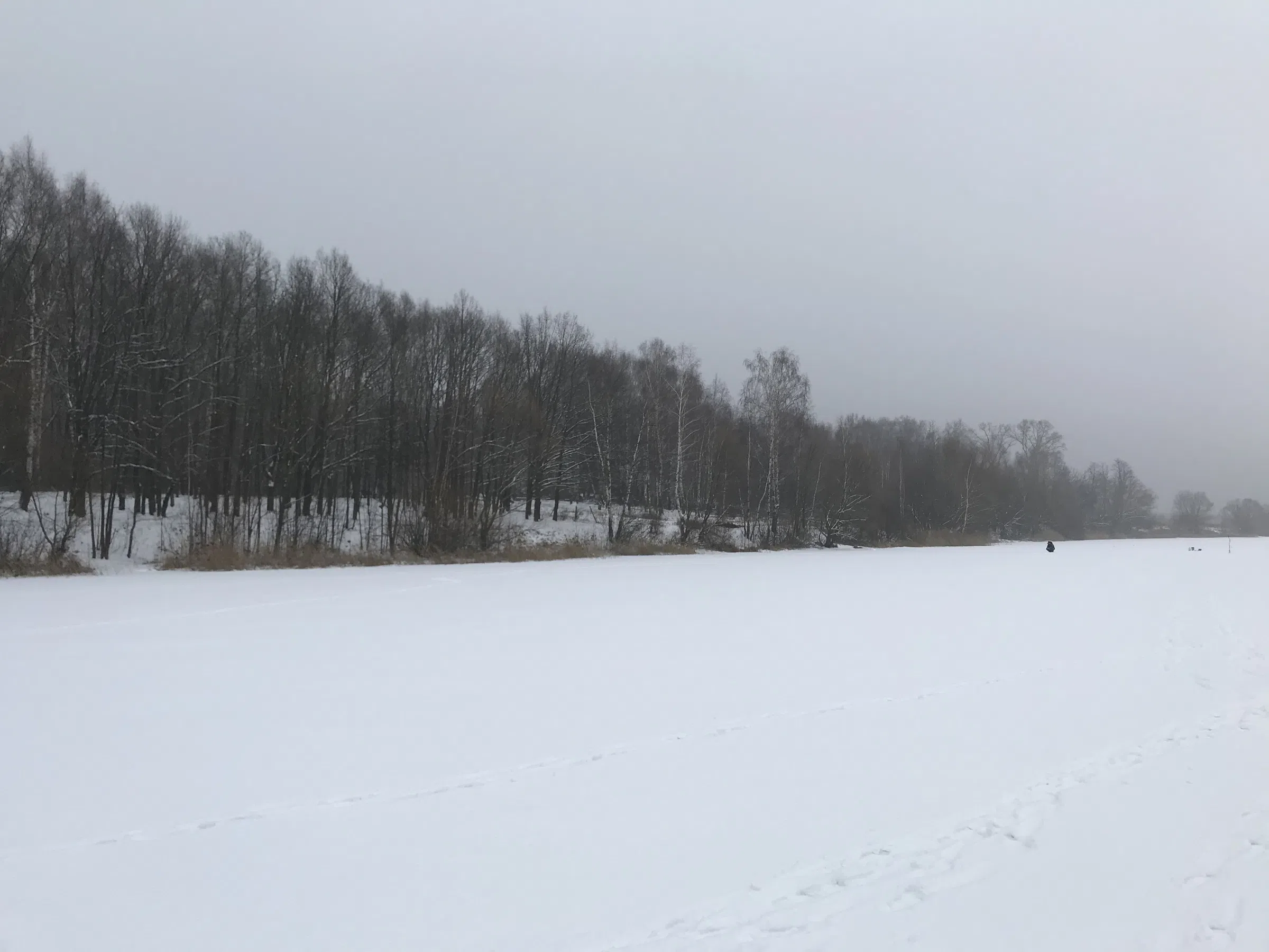 Зимнее озеро в берёзах, фото 22