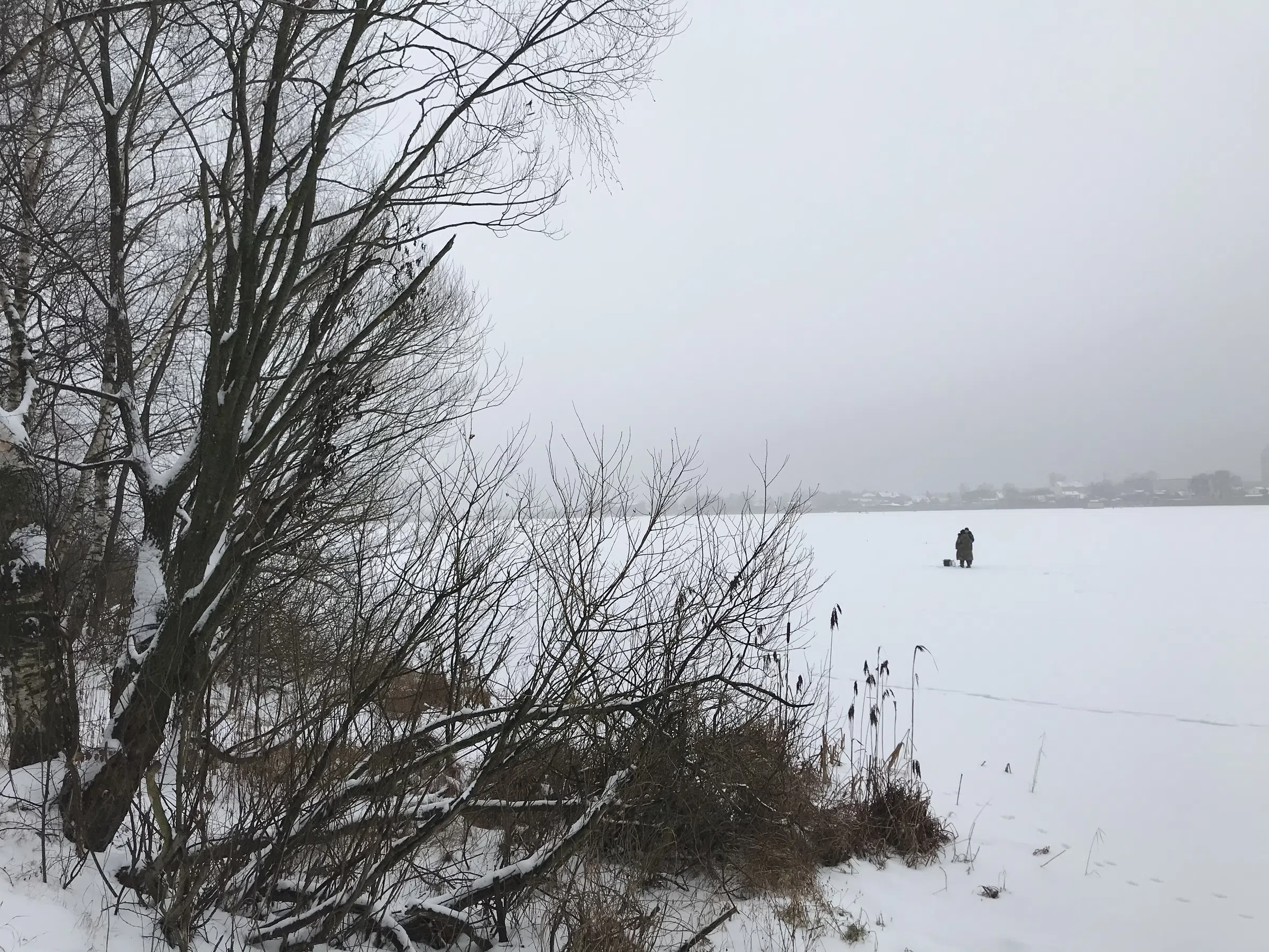 Зимнее озеро в берёзах, фото 4