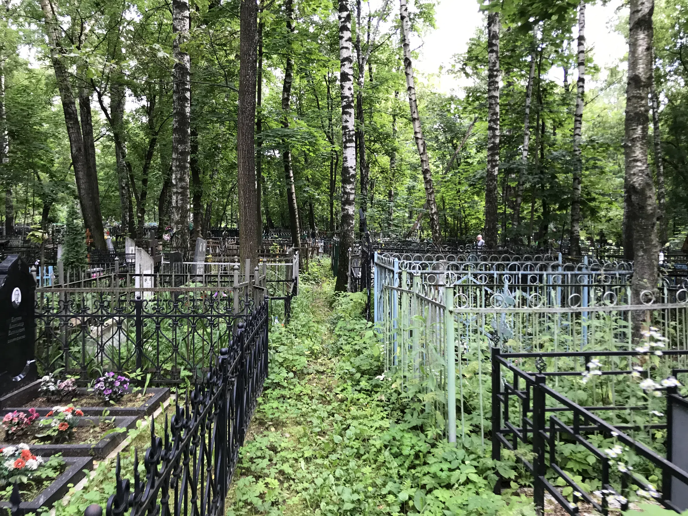 Берёзовая роща скорби, фото 6