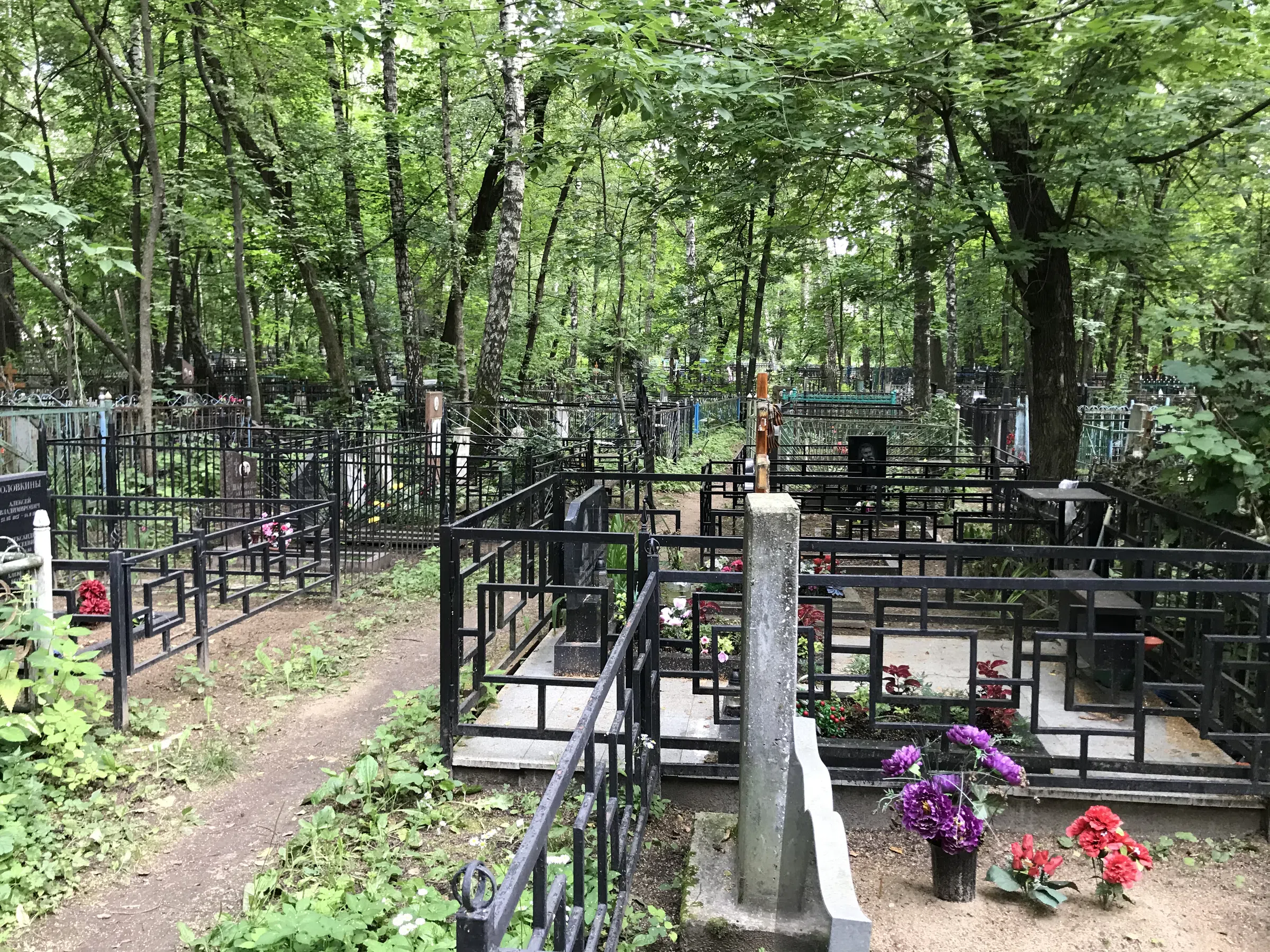 Берёзовая роща скорби, фото 4