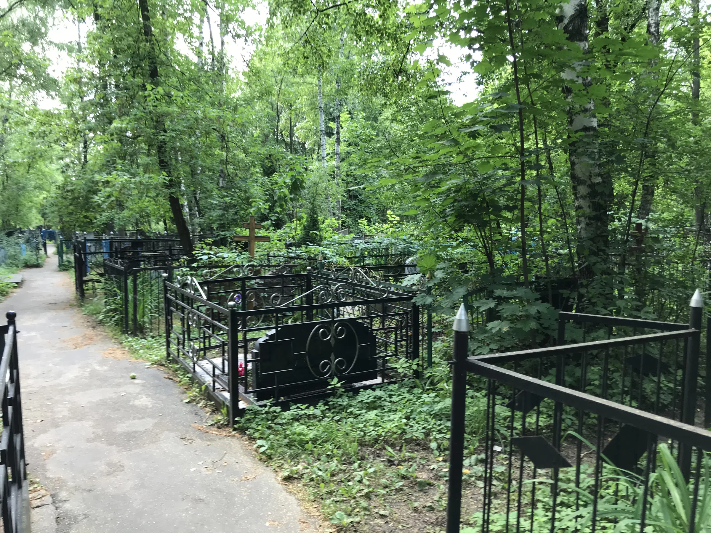 Берёзовая роща скорби, фото 3