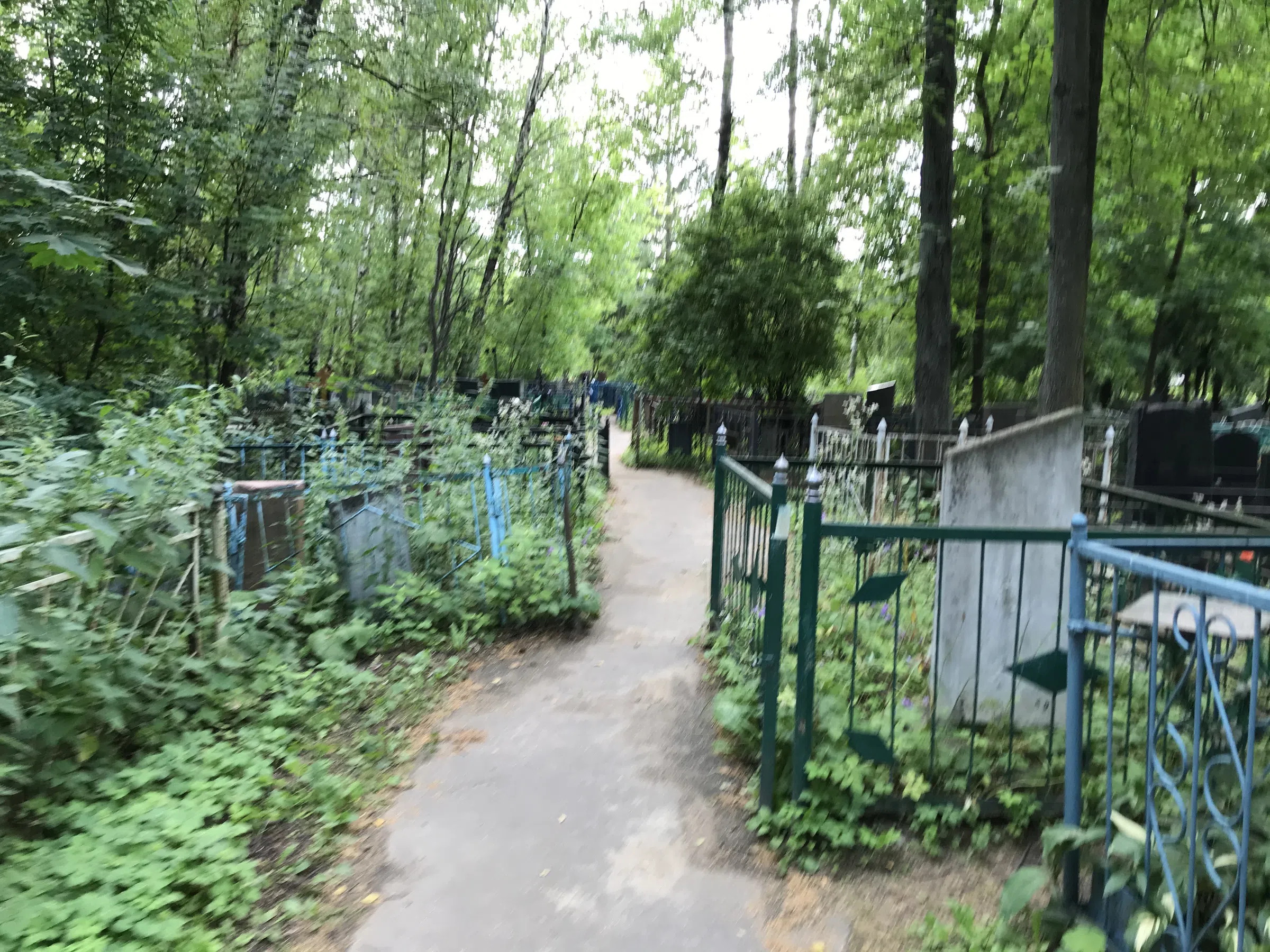 Берёзовая роща скорби, фото 5