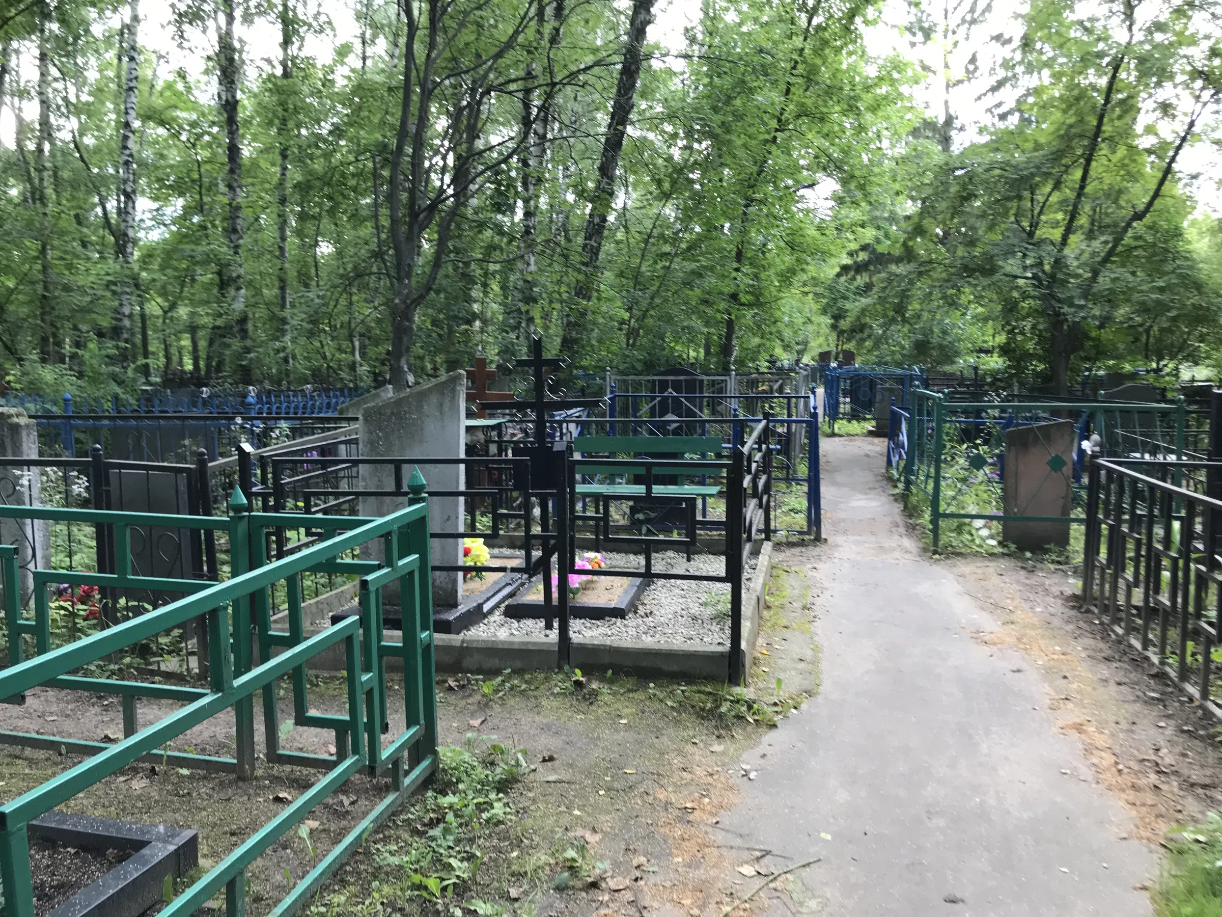 Берёзовая роща скорби, фото 13