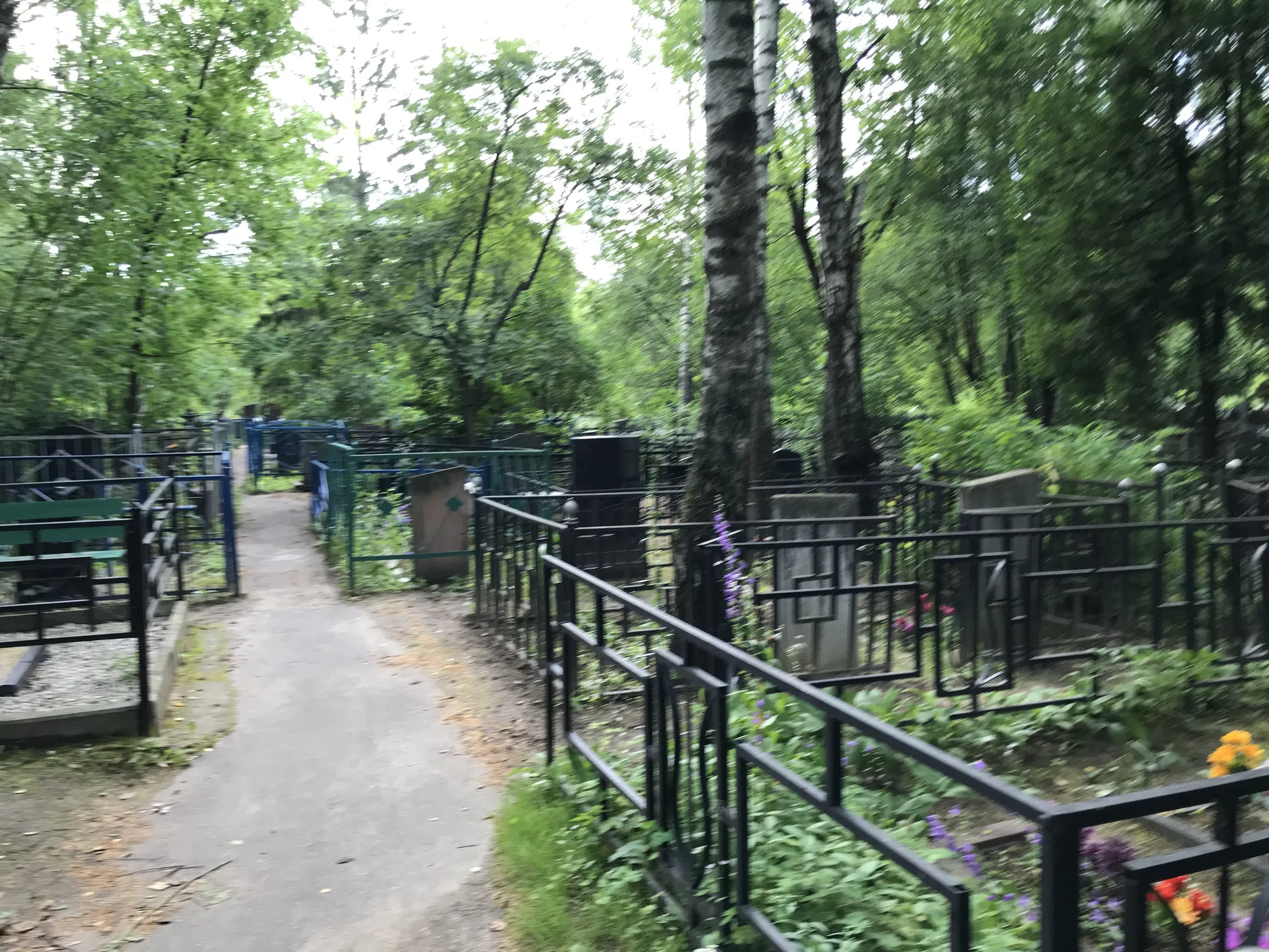Берёзовая роща скорби, фото 12