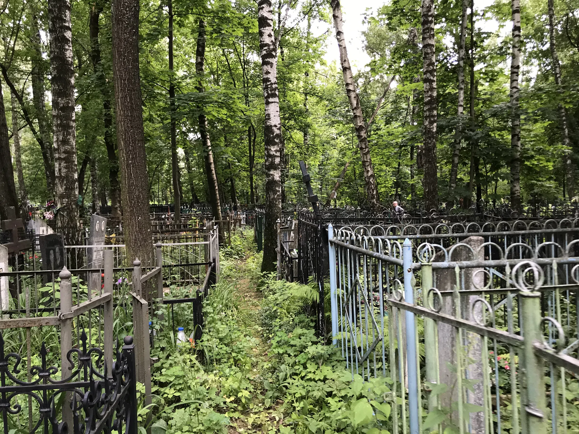 Берёзовая роща скорби, фото 7