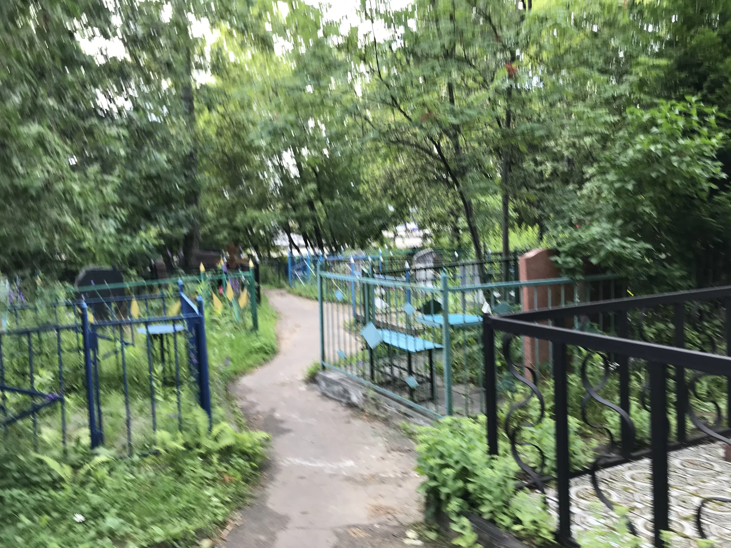 Берёзовая роща скорби, фото 15