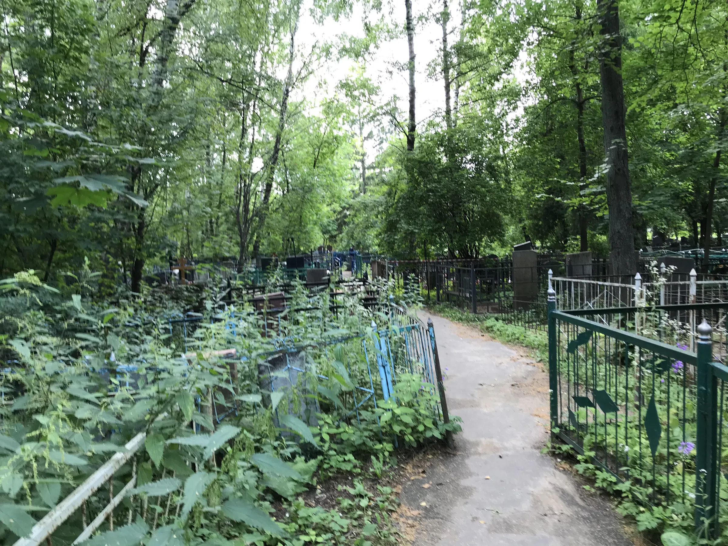 Берёзовая роща скорби, фото 9