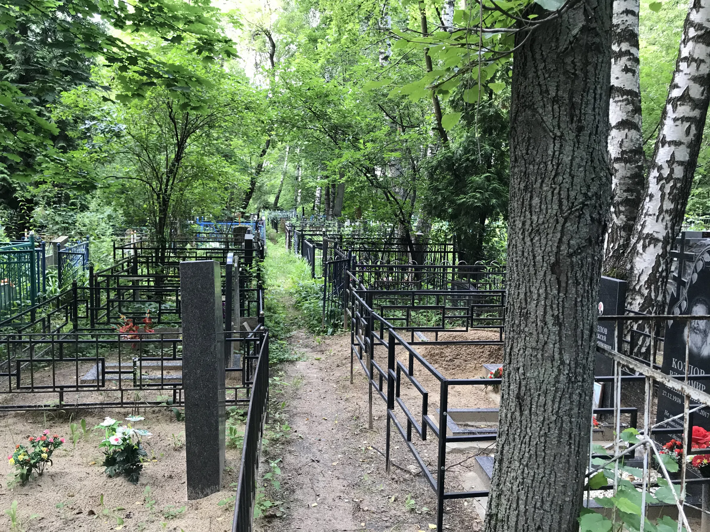 Берёзовая роща скорби, фото 10