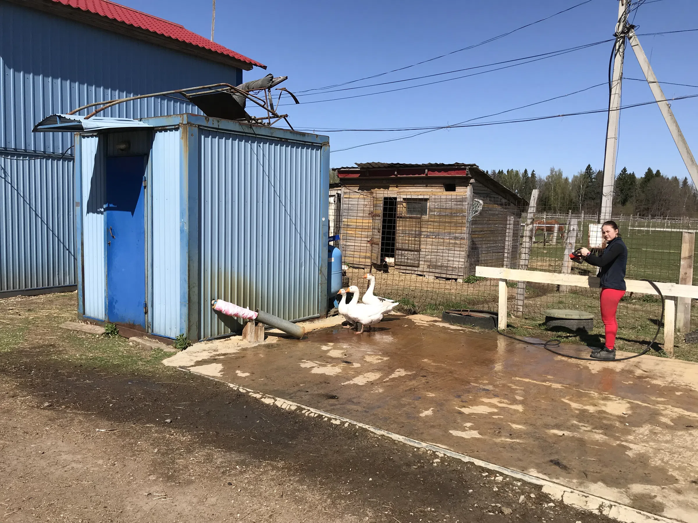 Конная ферма с манежем, фото 2