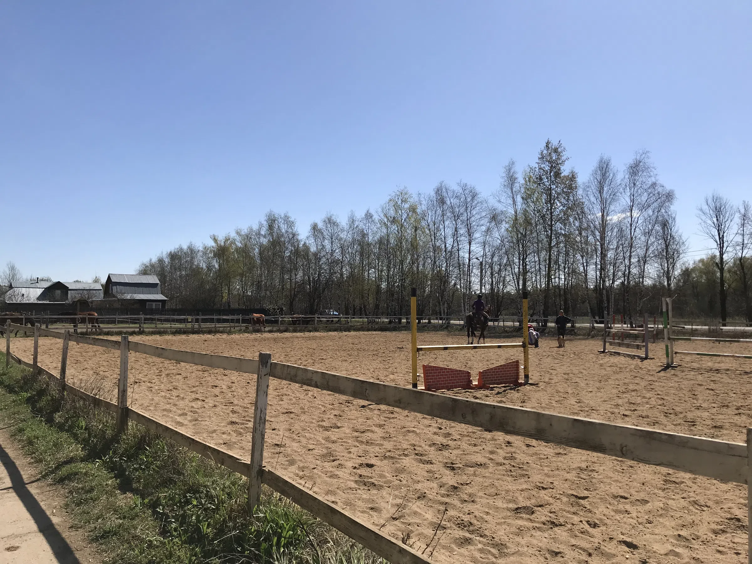 Конная ферма с манежем, фото 19