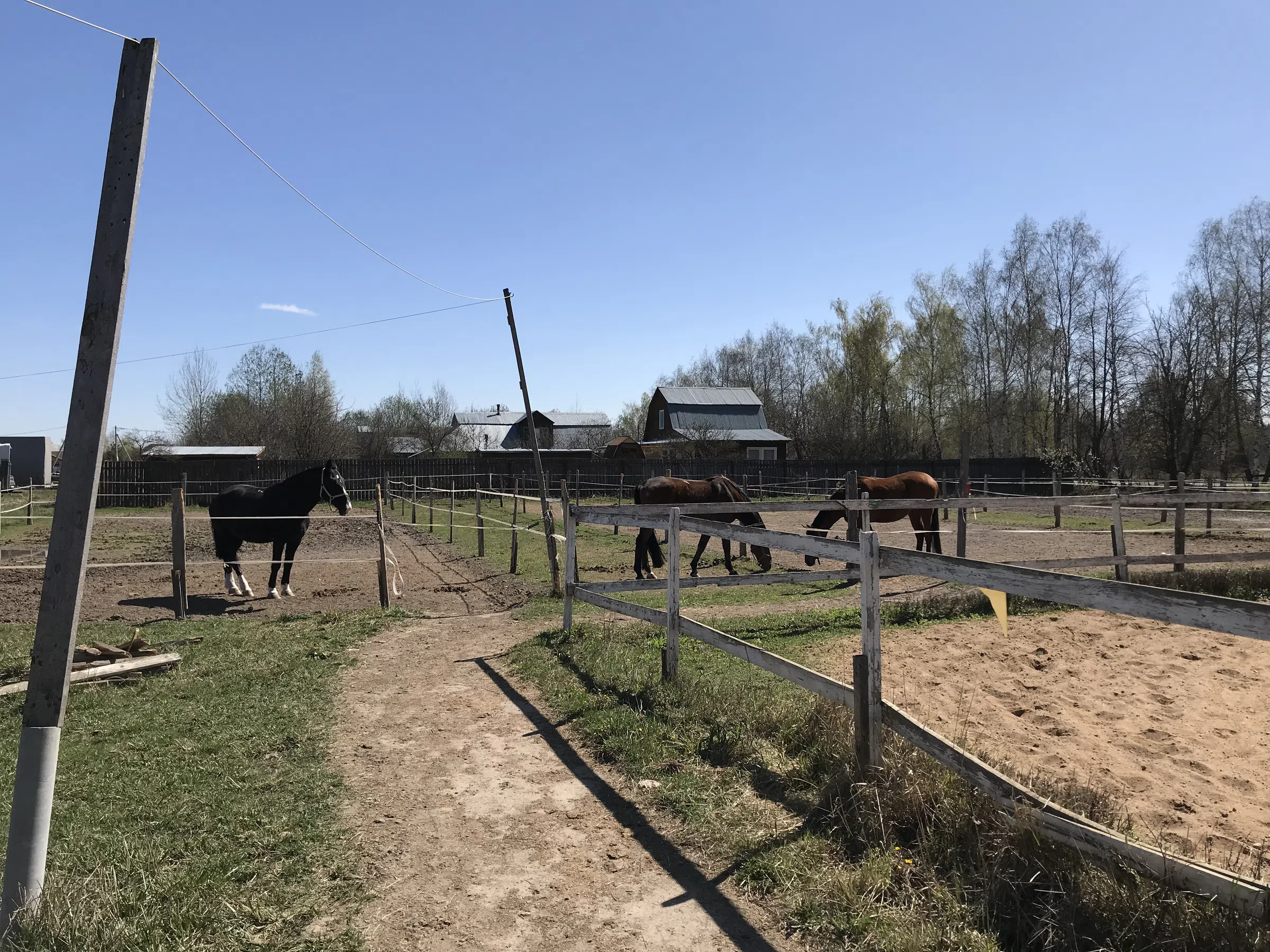 Конная ферма с манежем, фото 22