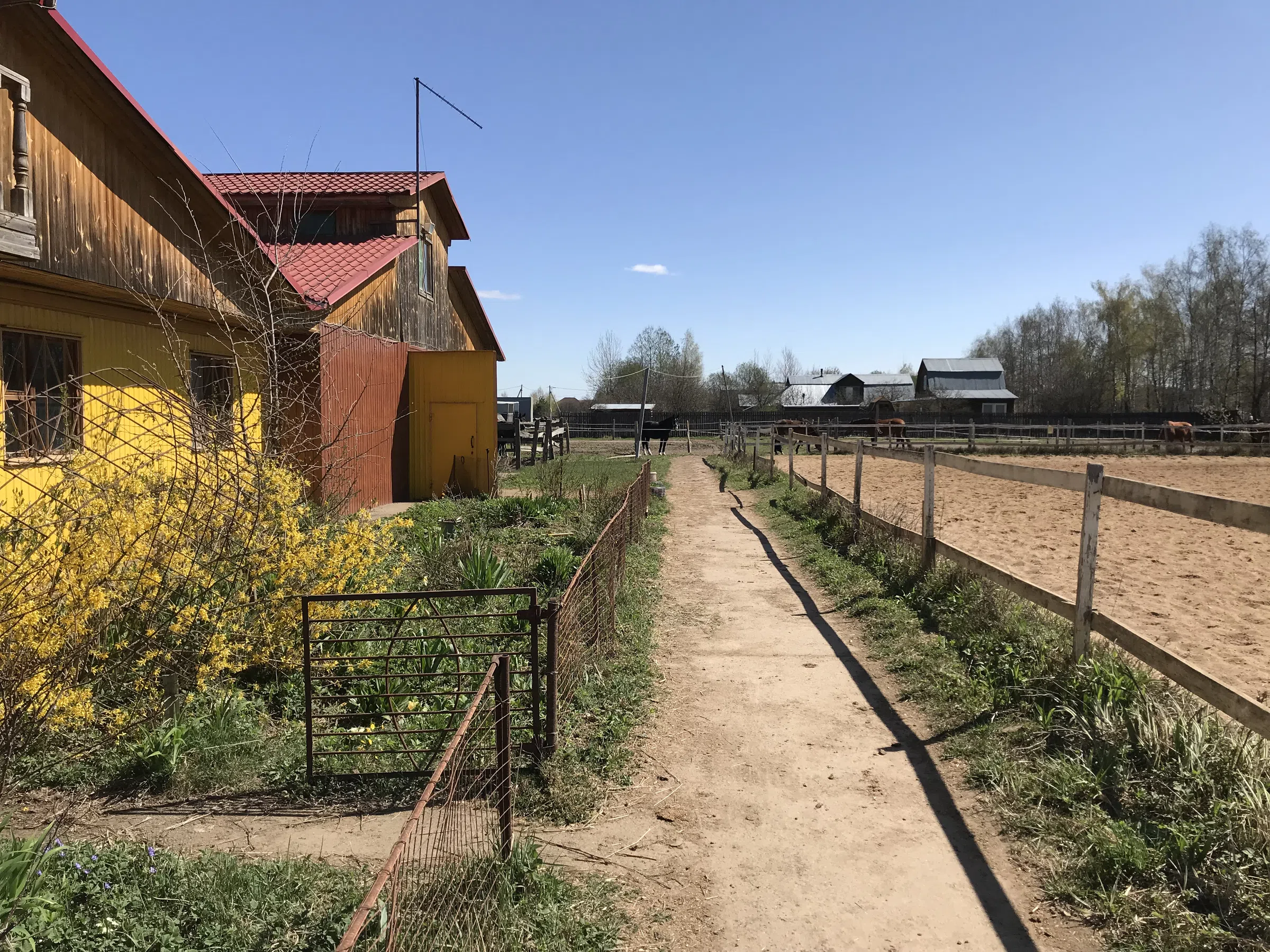 Конная ферма с манежем, фото 18