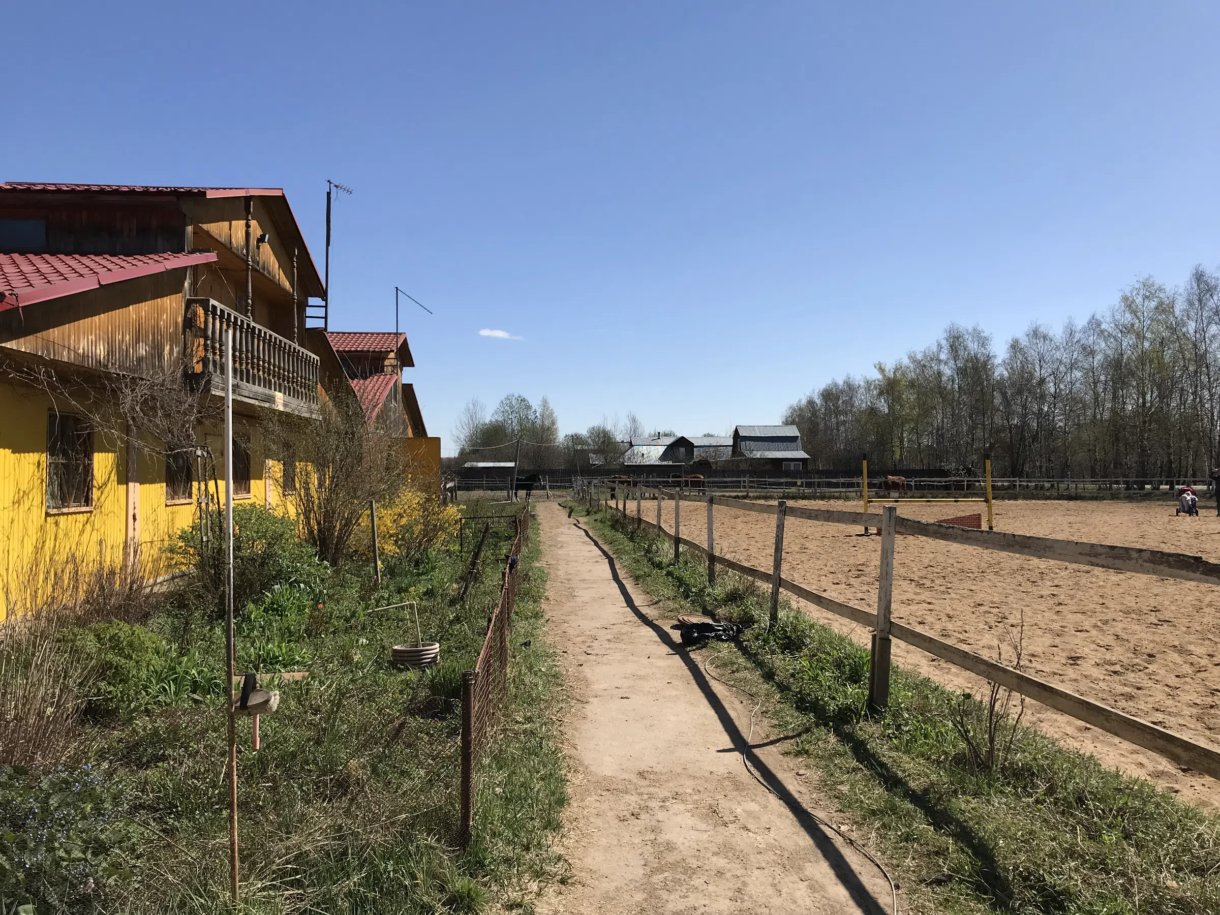 Конная ферма с манежем, фото 17