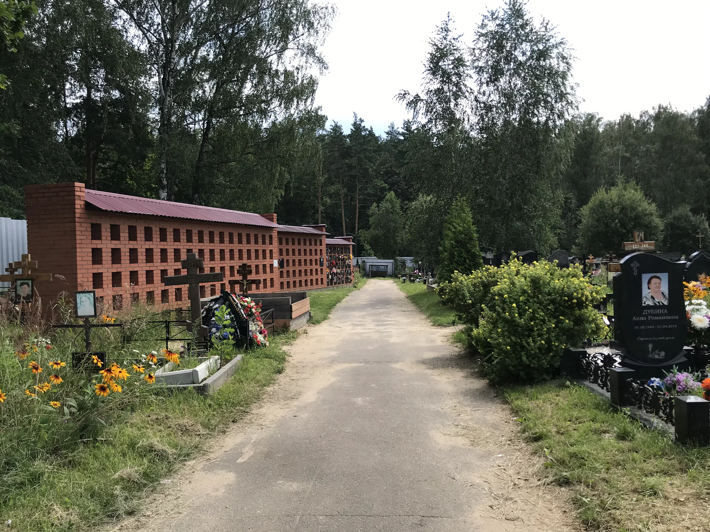 Кладбище с лесом на фоне, фото 13
