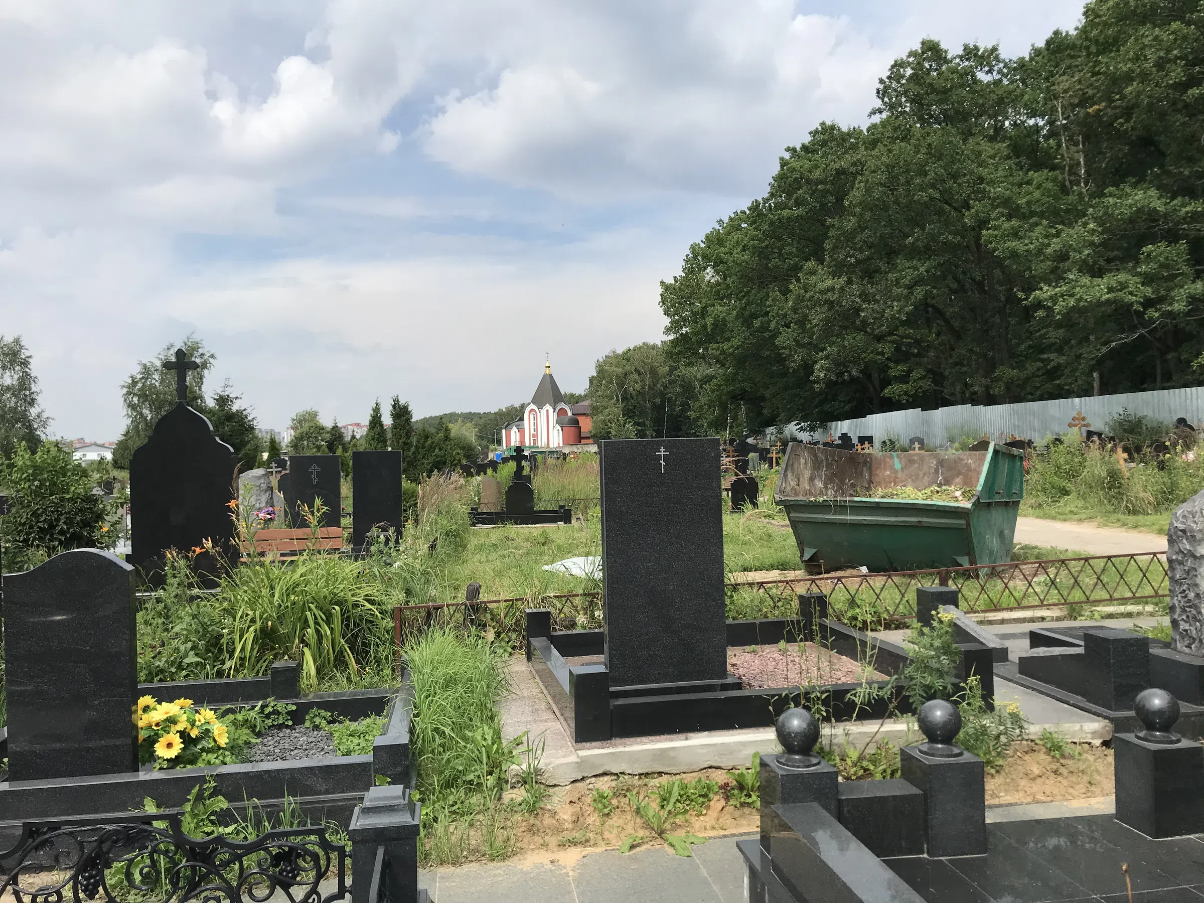 Кладбище с лесом на фоне, фото 12