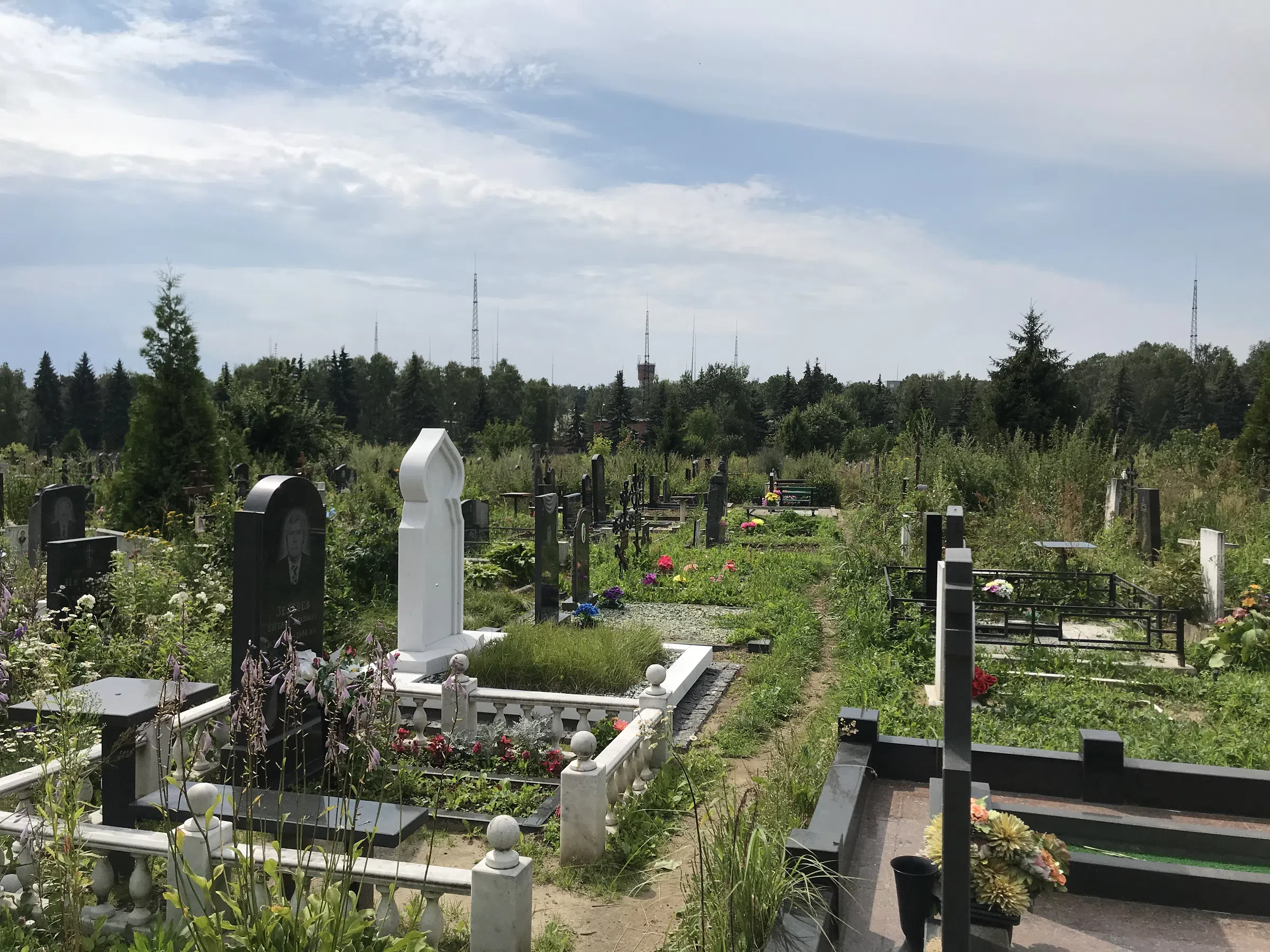 Кладбище с лесом на фоне, фото 4