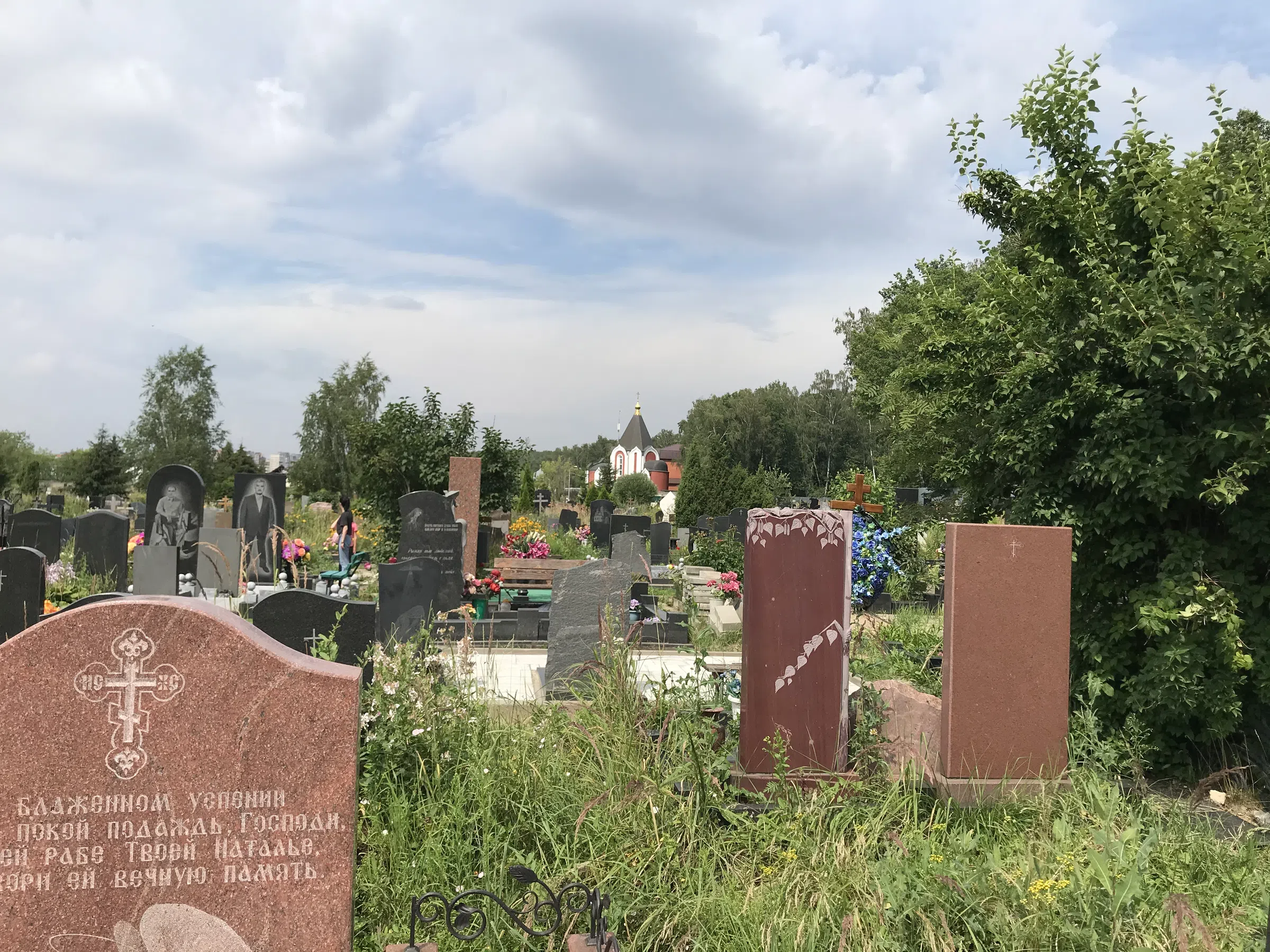 Кладбище с лесом на фоне, фото 9