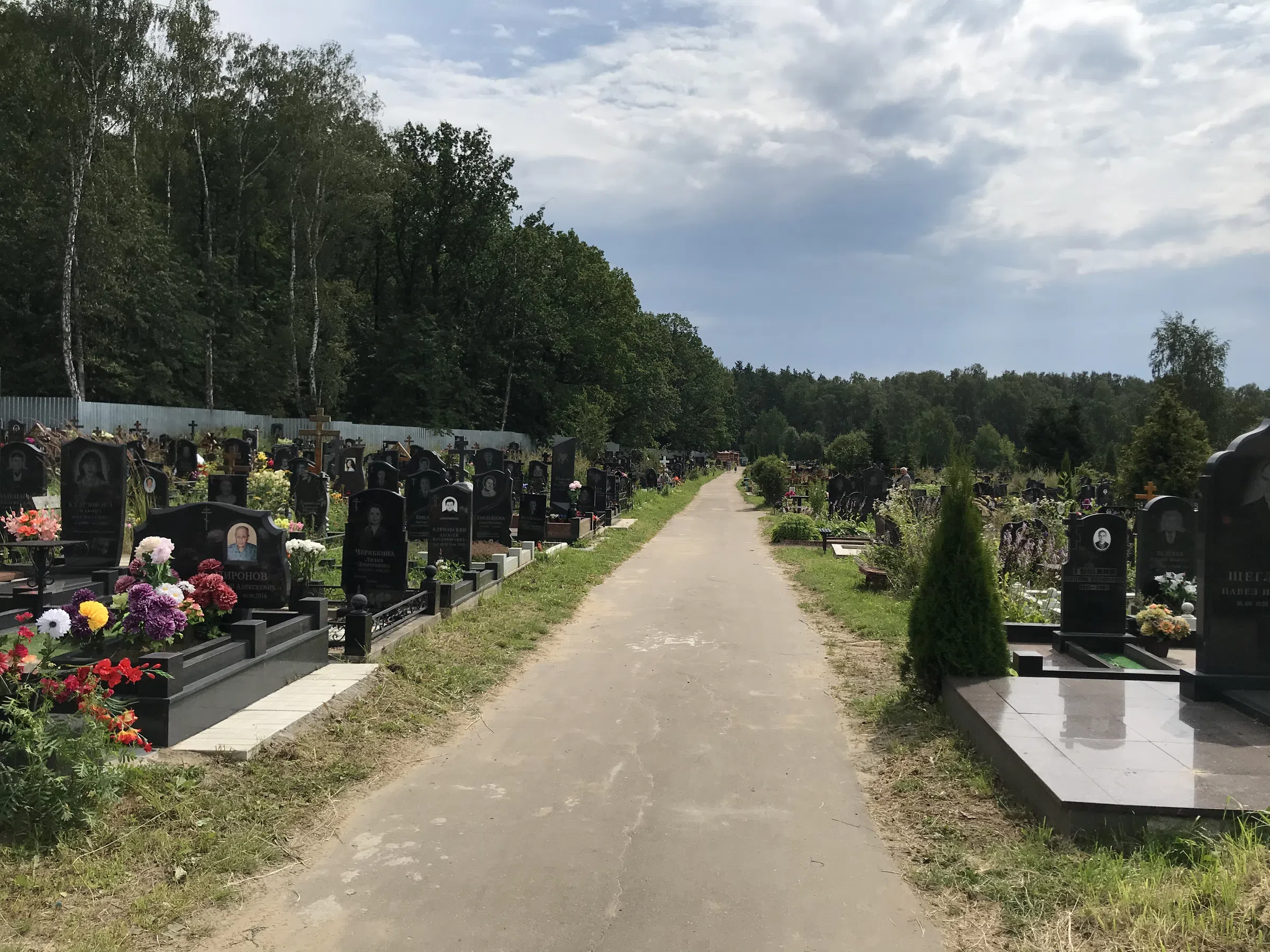 Кладбище с лесом на фоне, фото 1