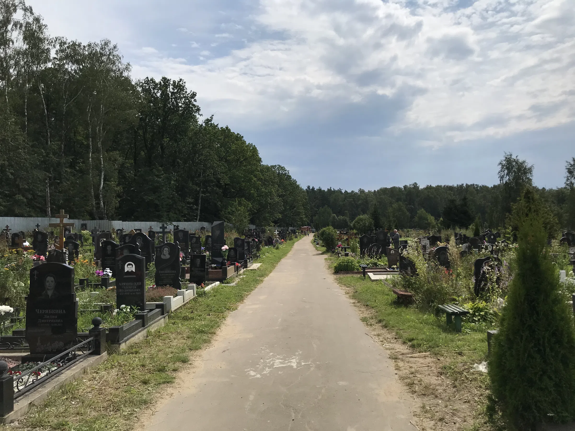 Кладбище с лесом на фоне, фото 2