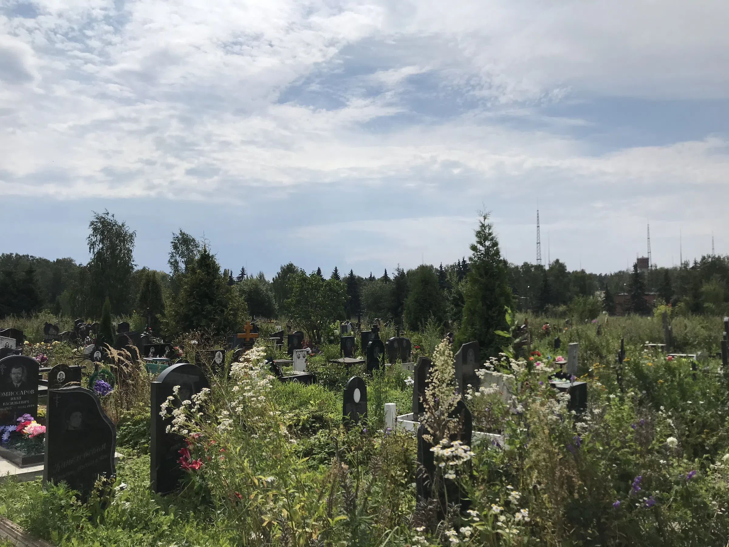 Кладбище с лесом на фоне, фото 5