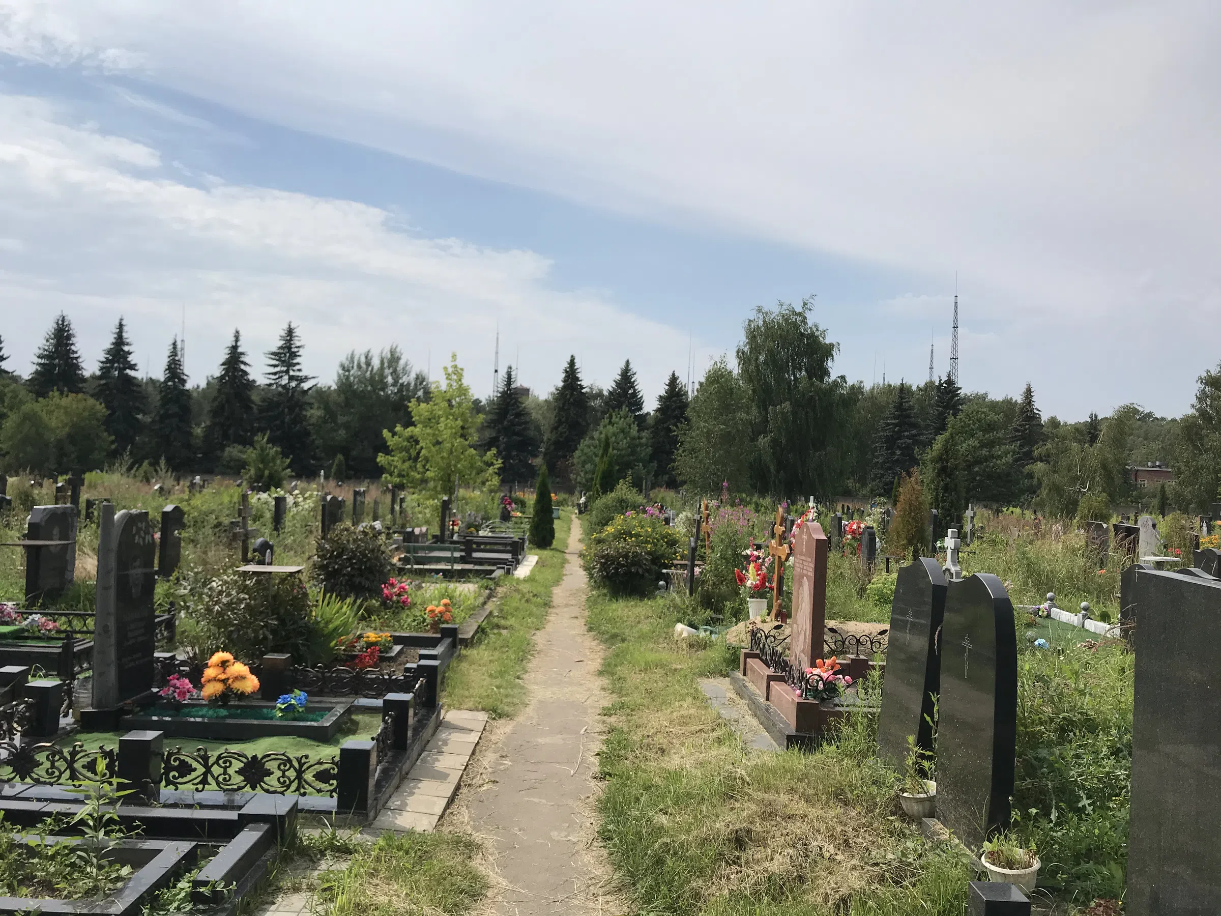 Кладбище с лесом на фоне, фото 8