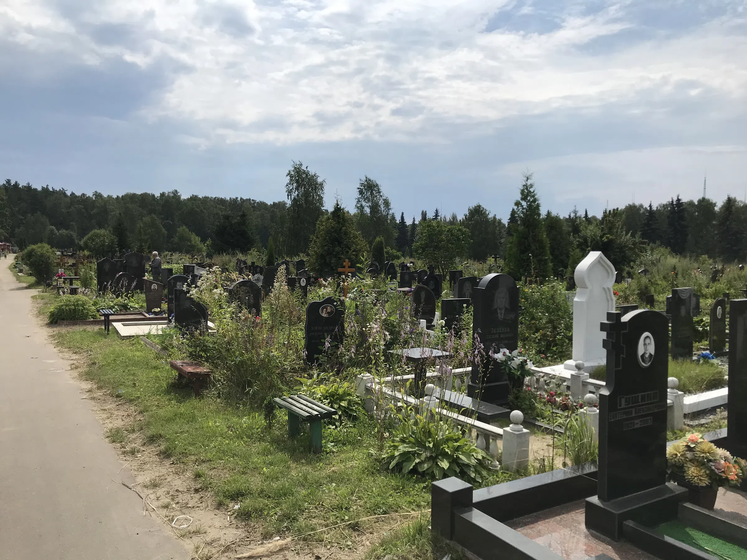 Кладбище с лесом на фоне, фото 3