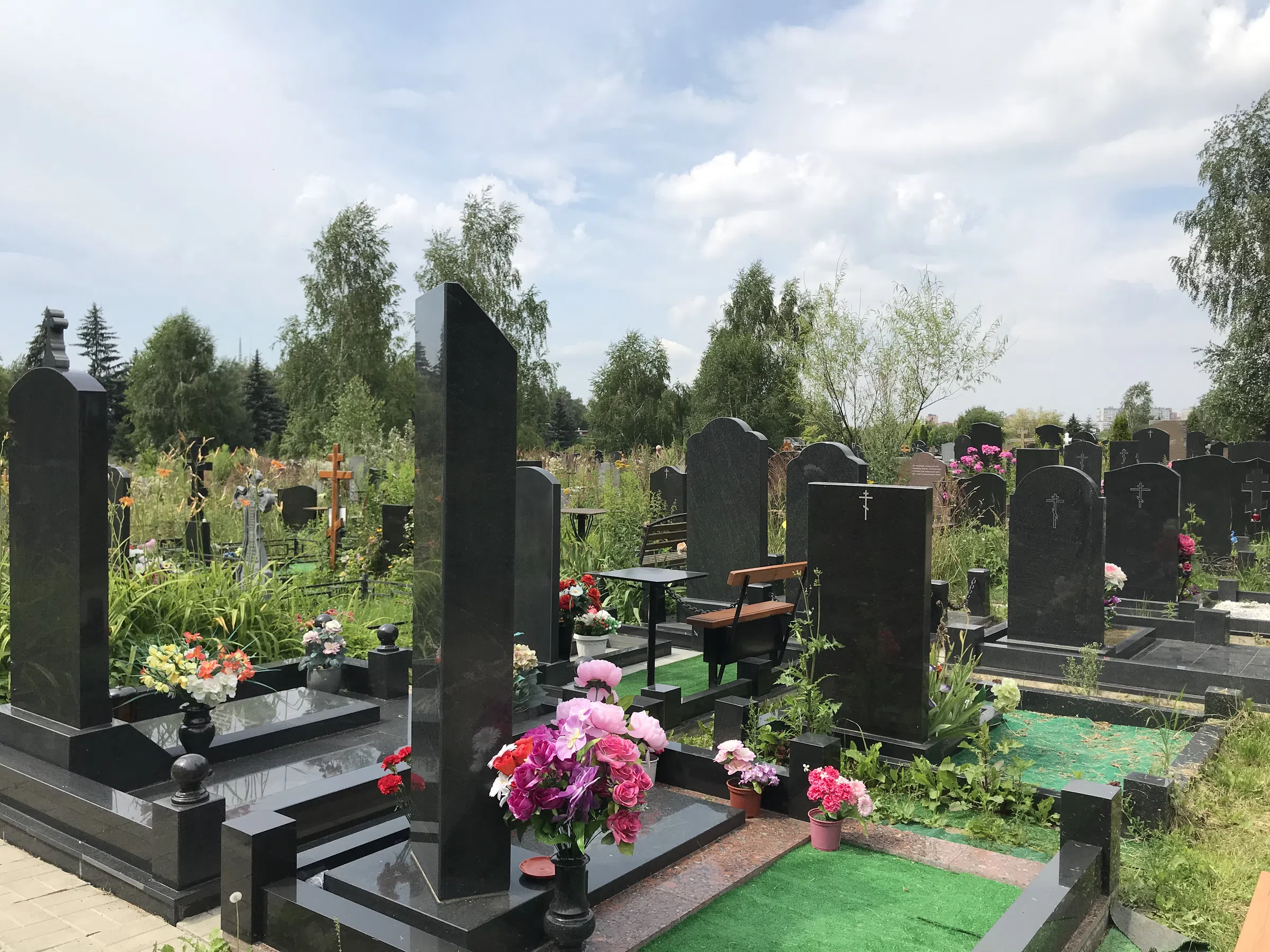Кладбище с лесом на фоне, фото 15