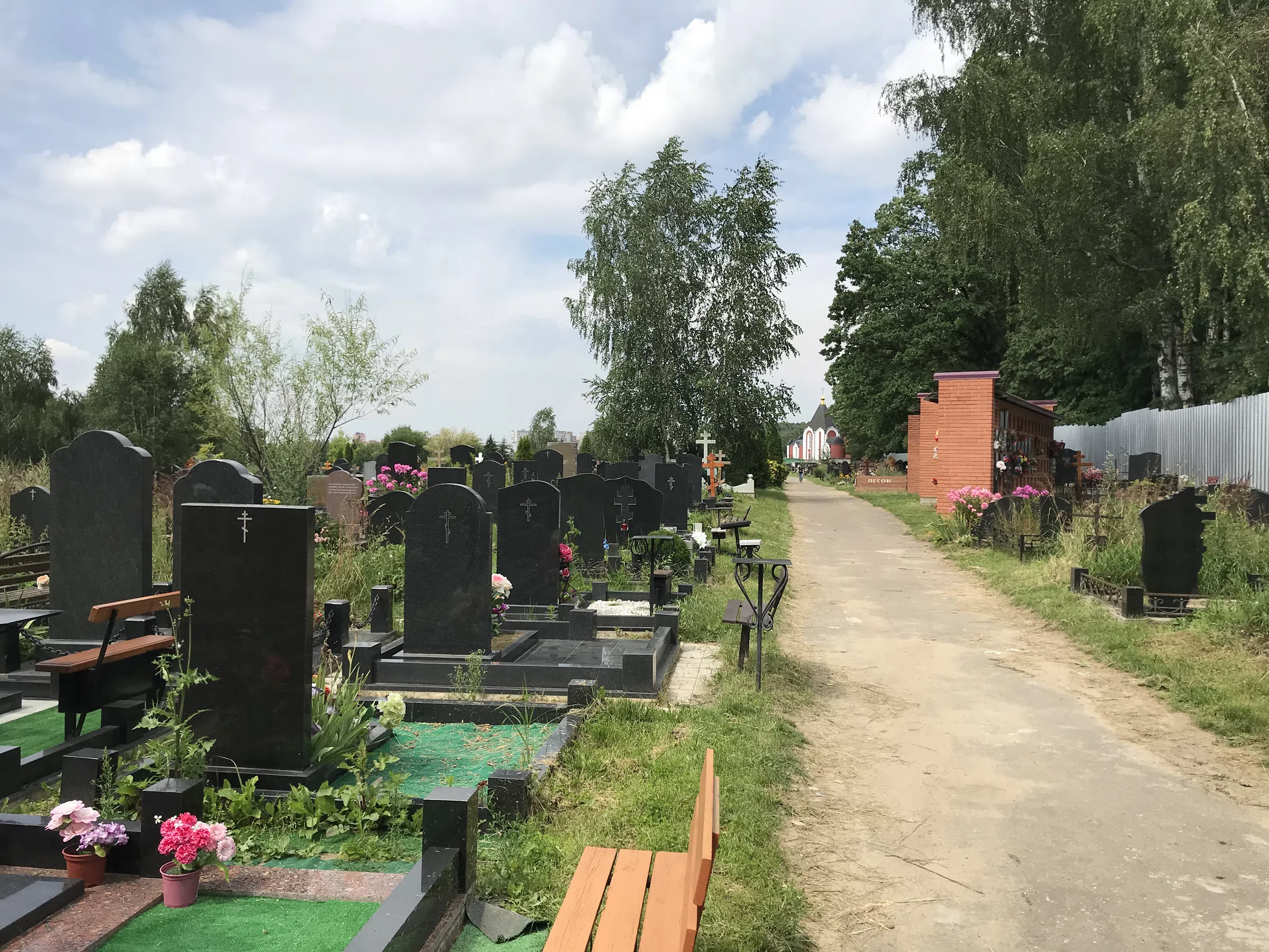 Кладбище с лесом на фоне, фото 14