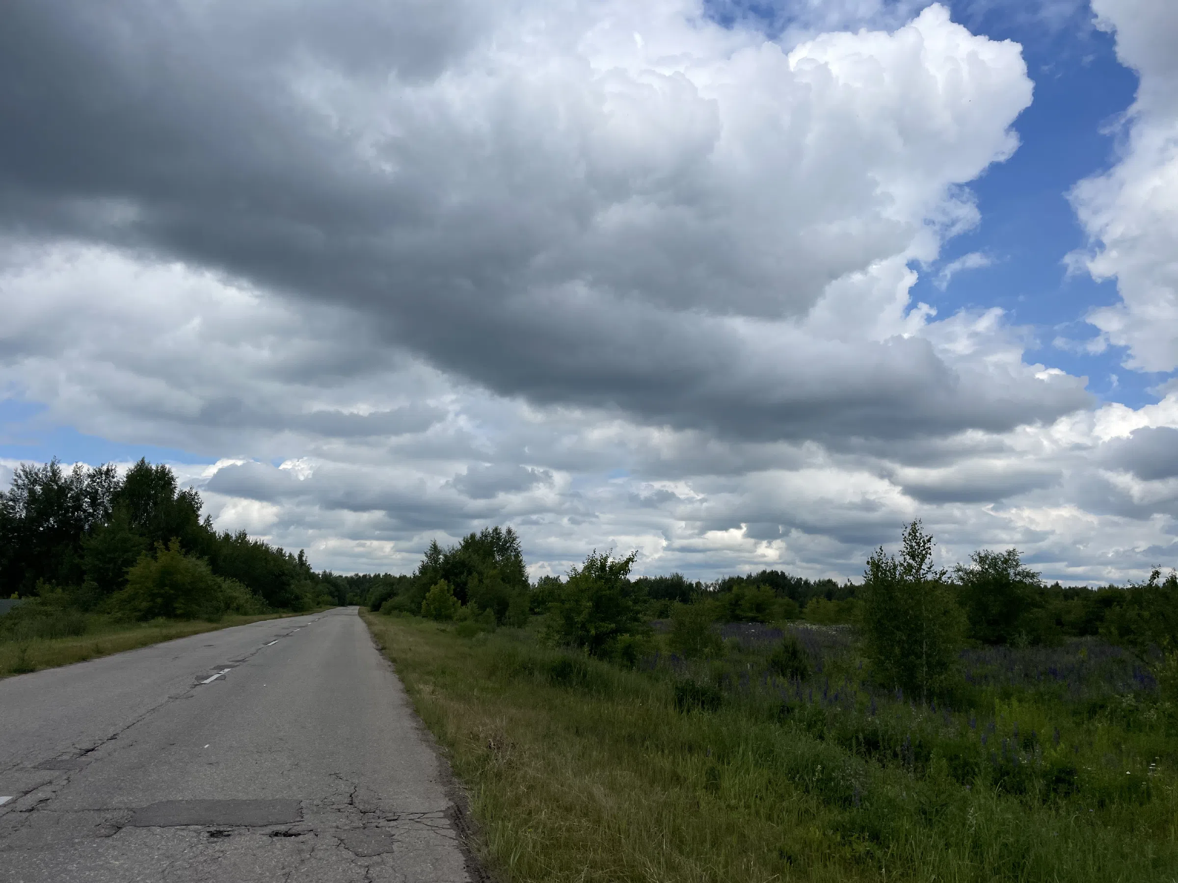 Полевые просторы и дорога, фото 13