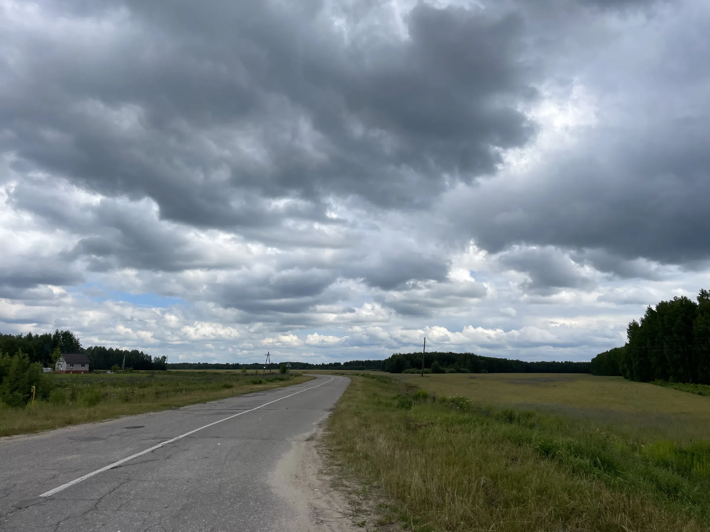 Полевые просторы и дорога, фото 16