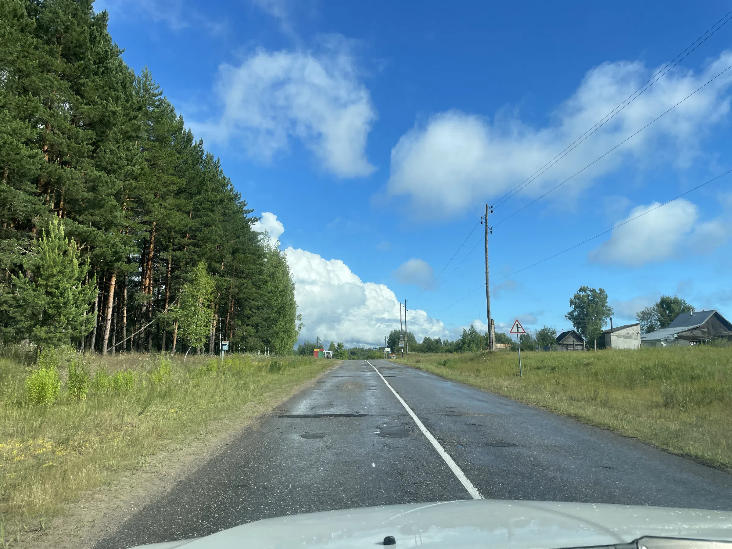 Полевые просторы и дорога, фото 5