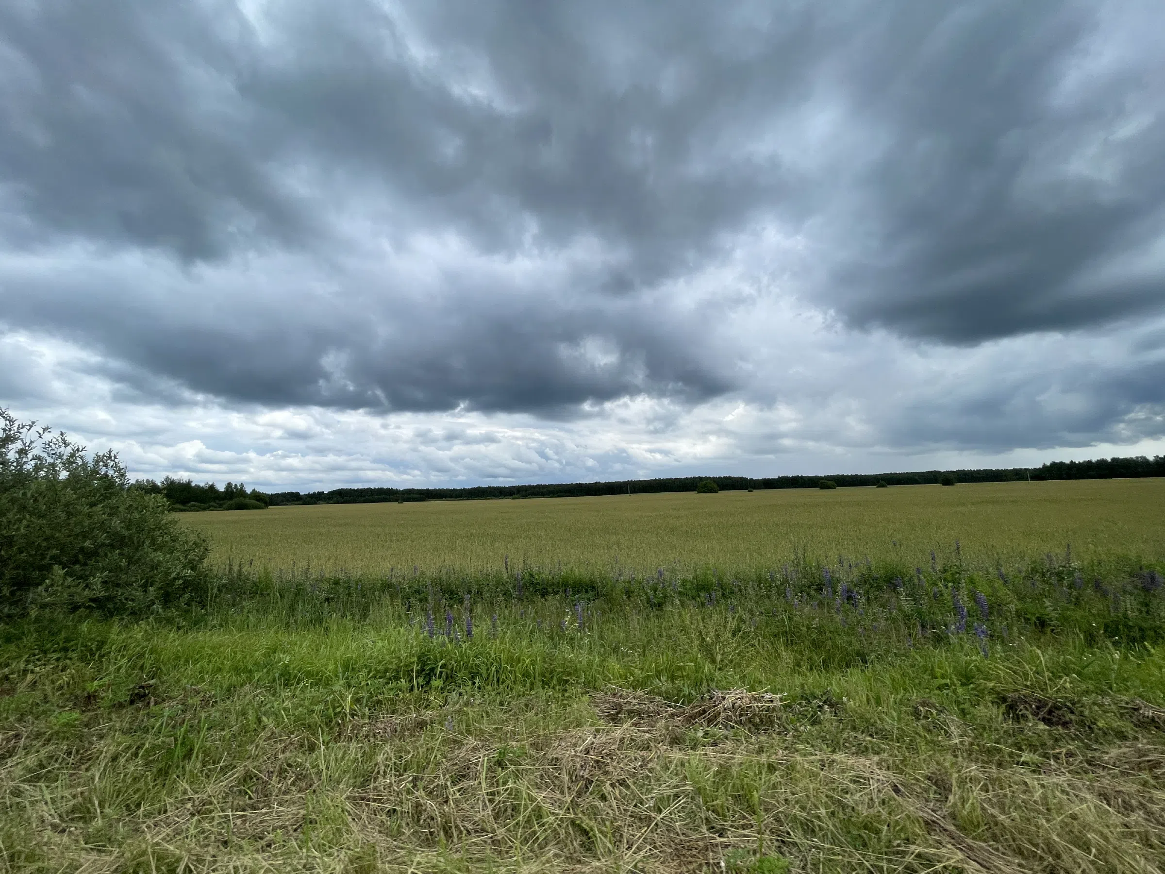 Полевые просторы и дорога, фото 19