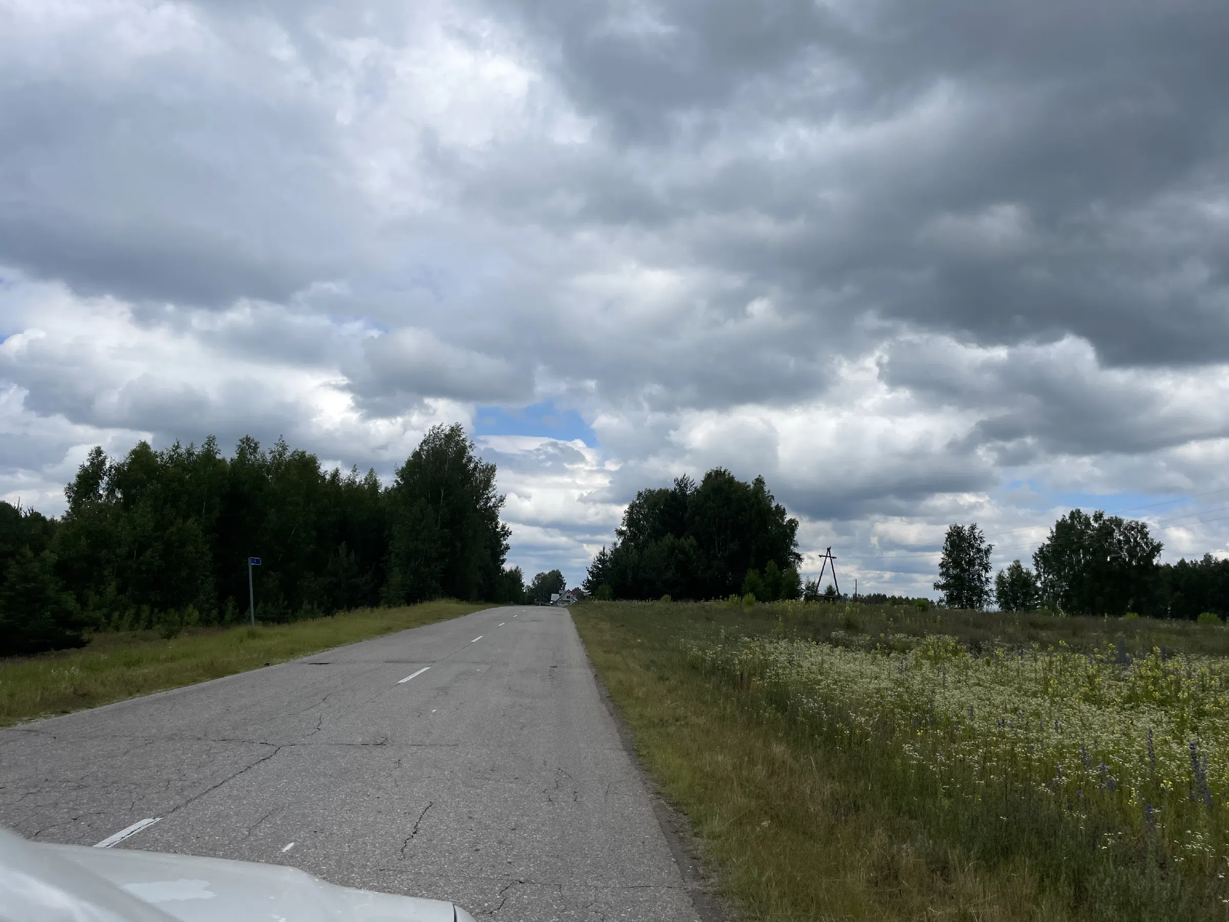 Полевые просторы и дорога, фото 14