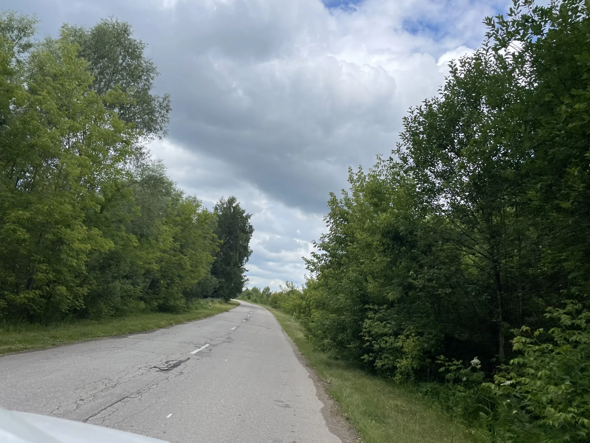 Полевые просторы и дорога, фото 12
