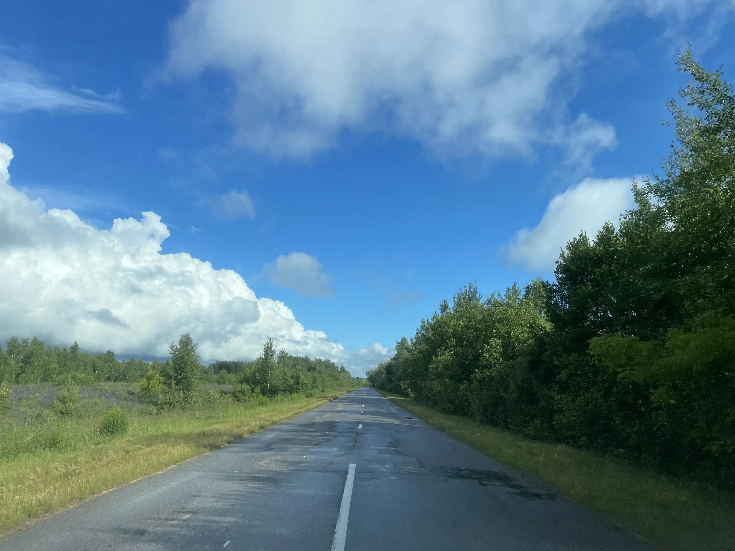 Полевые просторы и дорога, фото 7