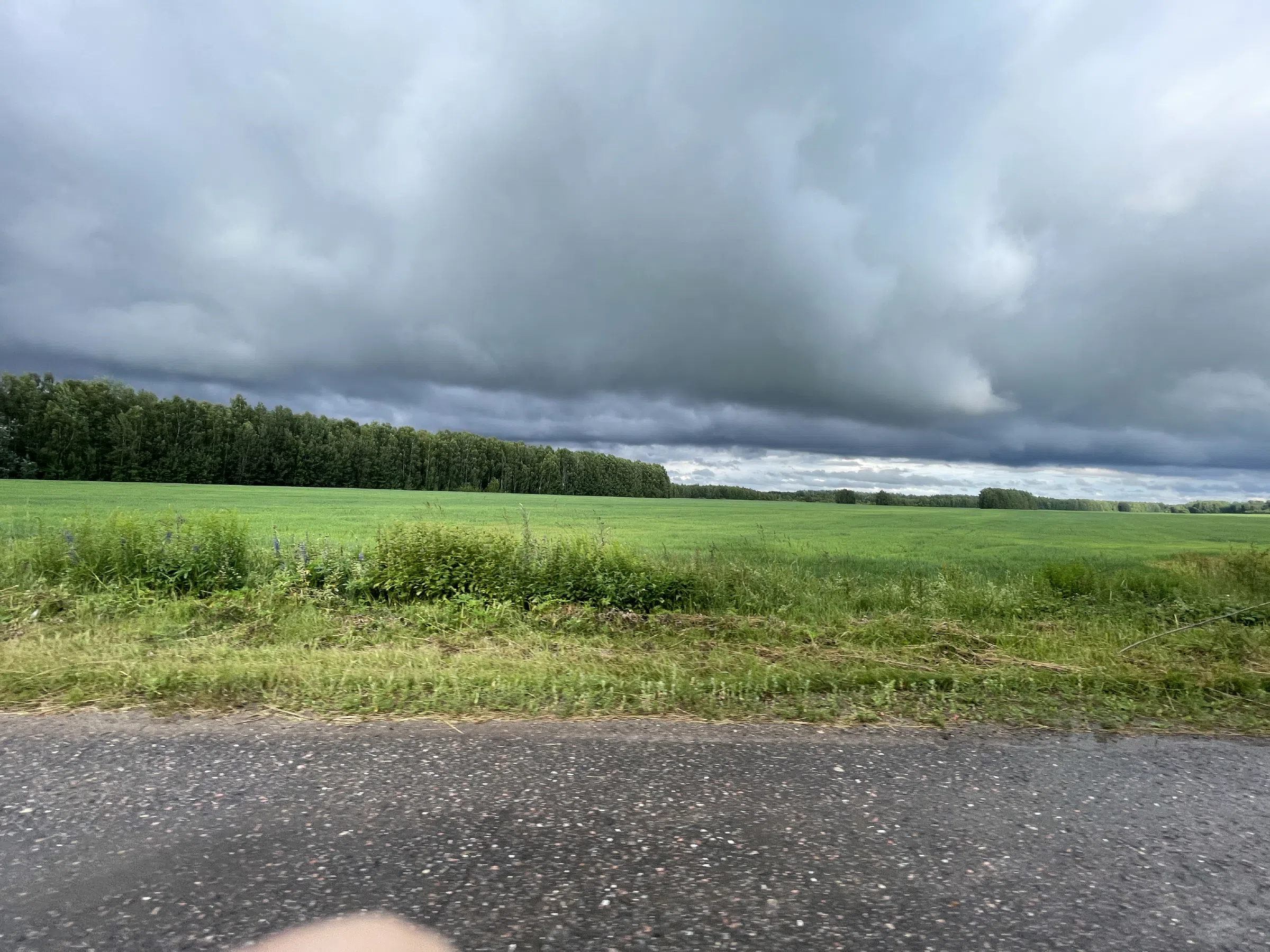 Полевые просторы и дорога, фото 3