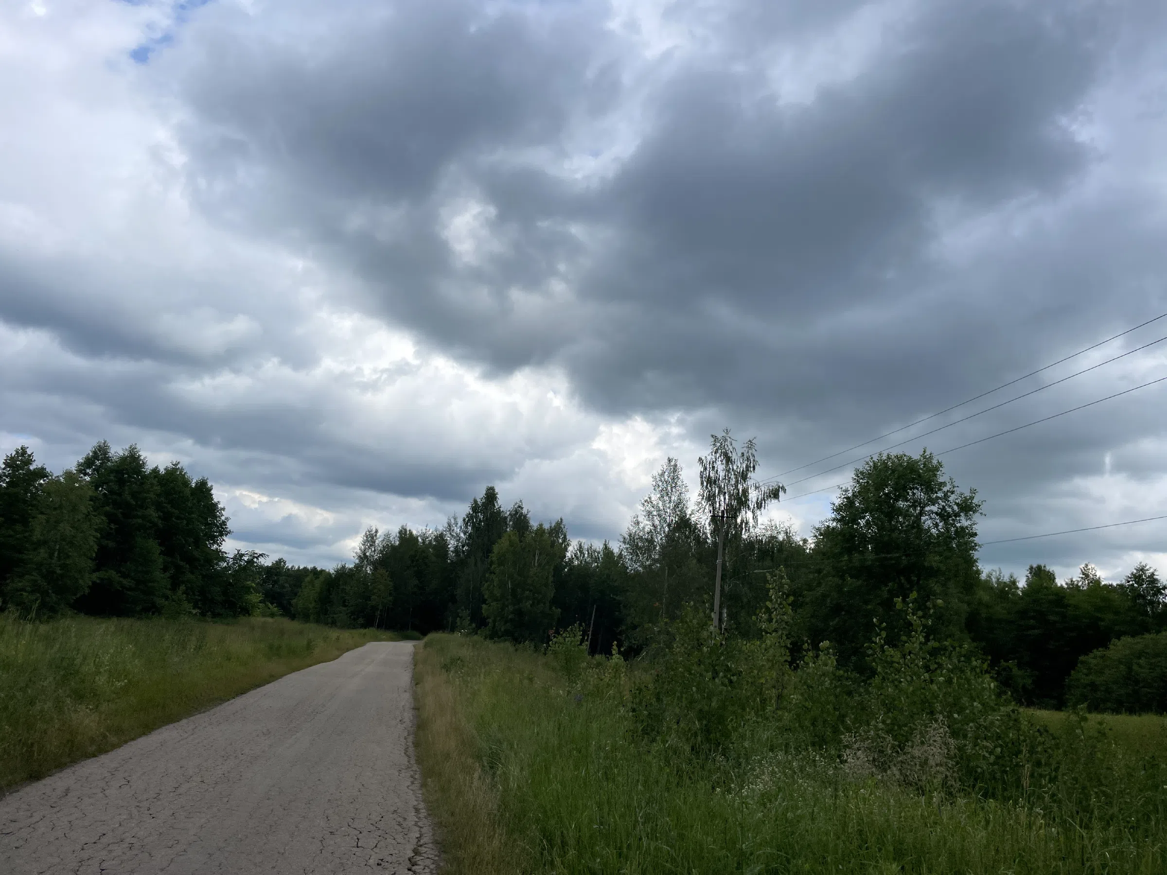 Полевые просторы и дорога, фото 11