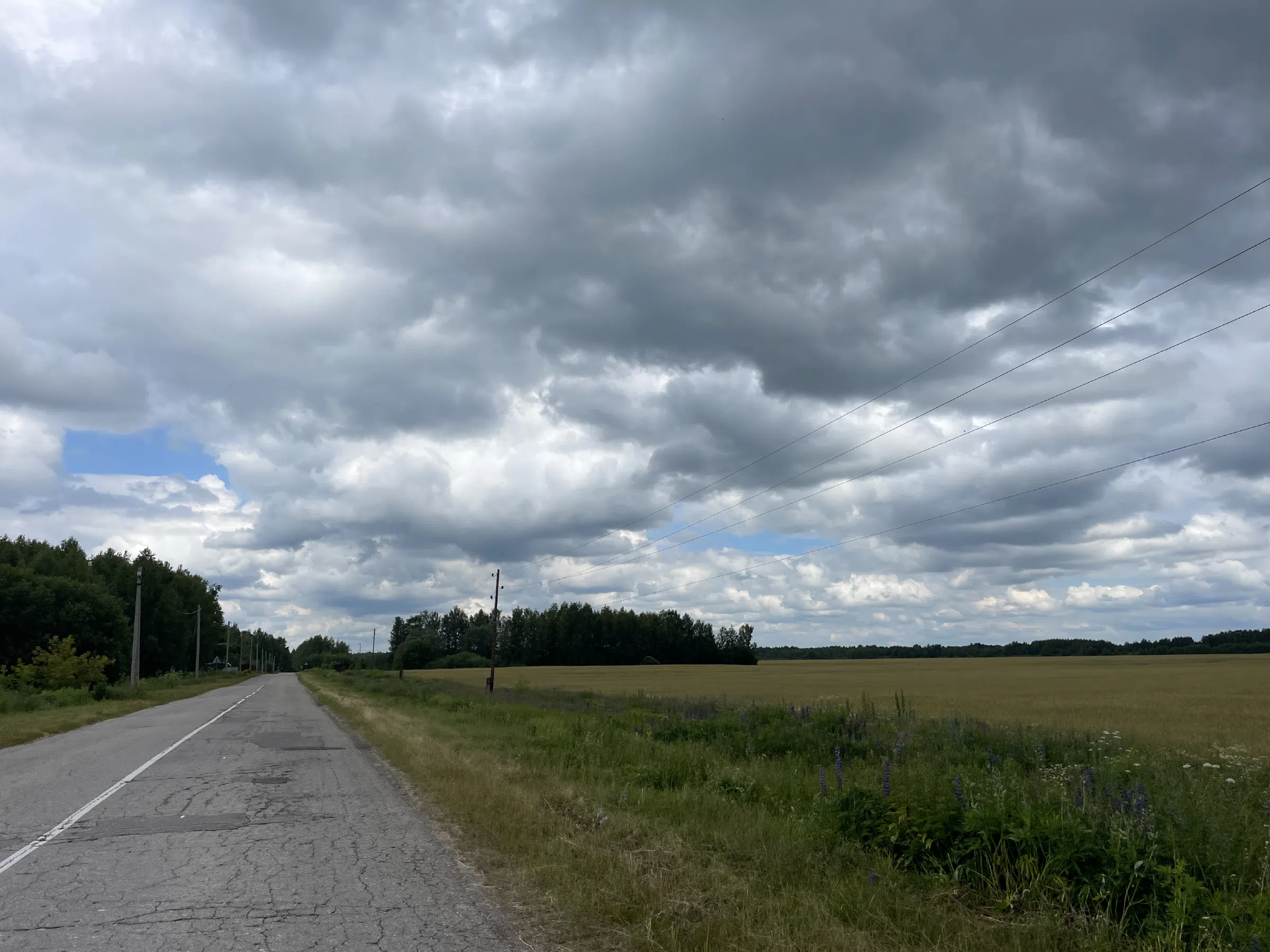 Полевые просторы и дорога, фото 17
