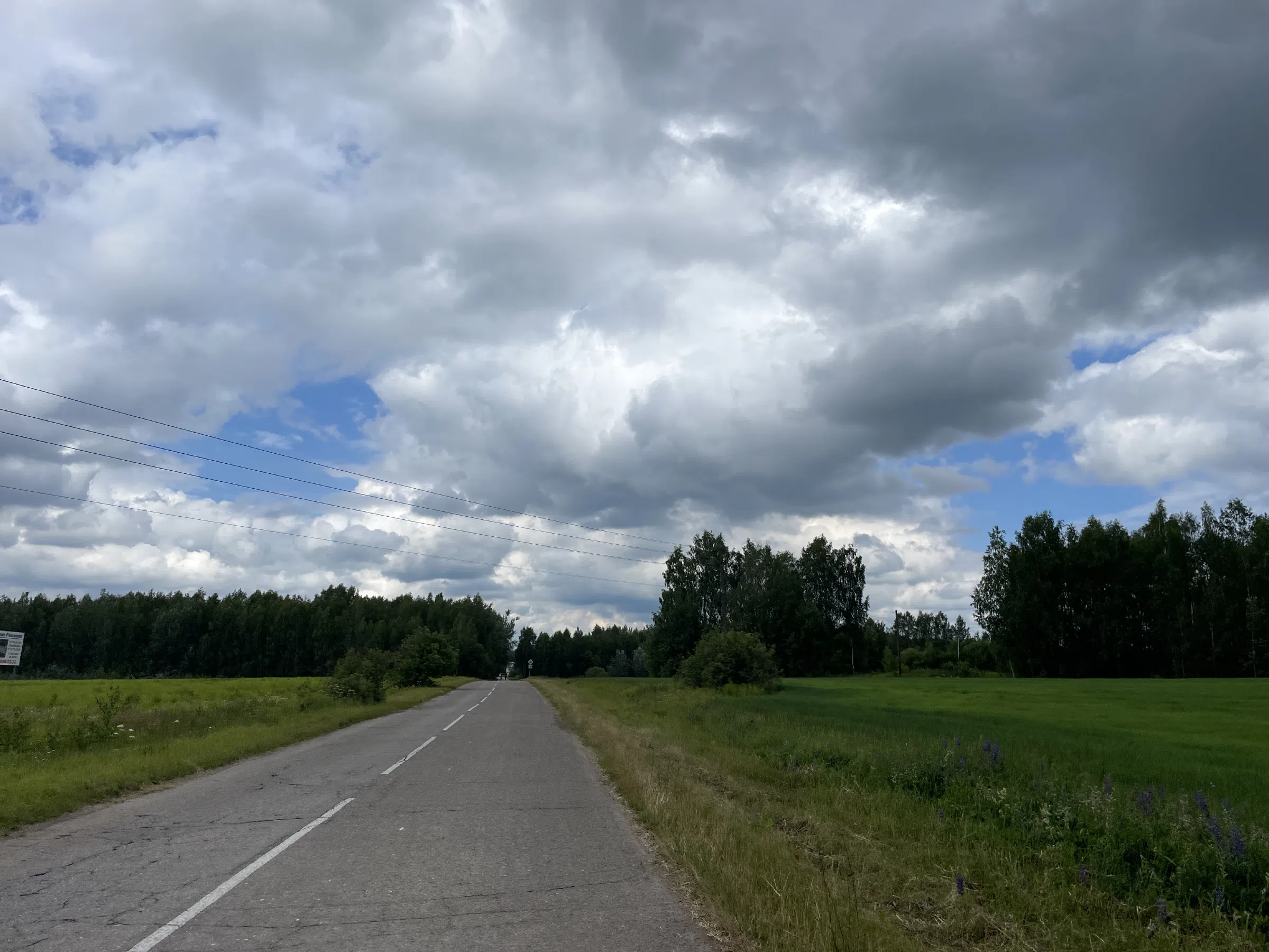 Полевые просторы и дорога, фото 22