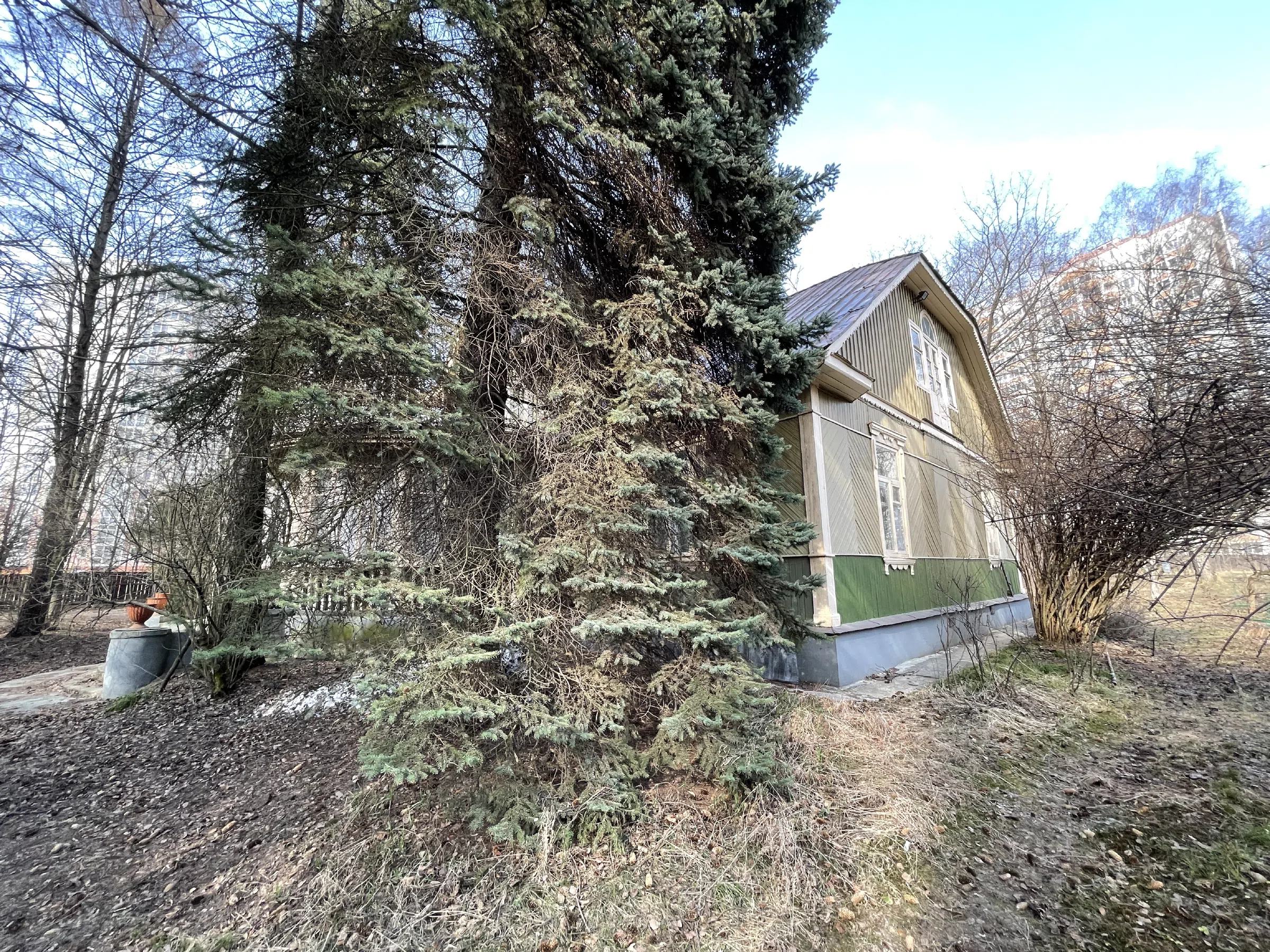 Дача в лесной аллее, фото 11