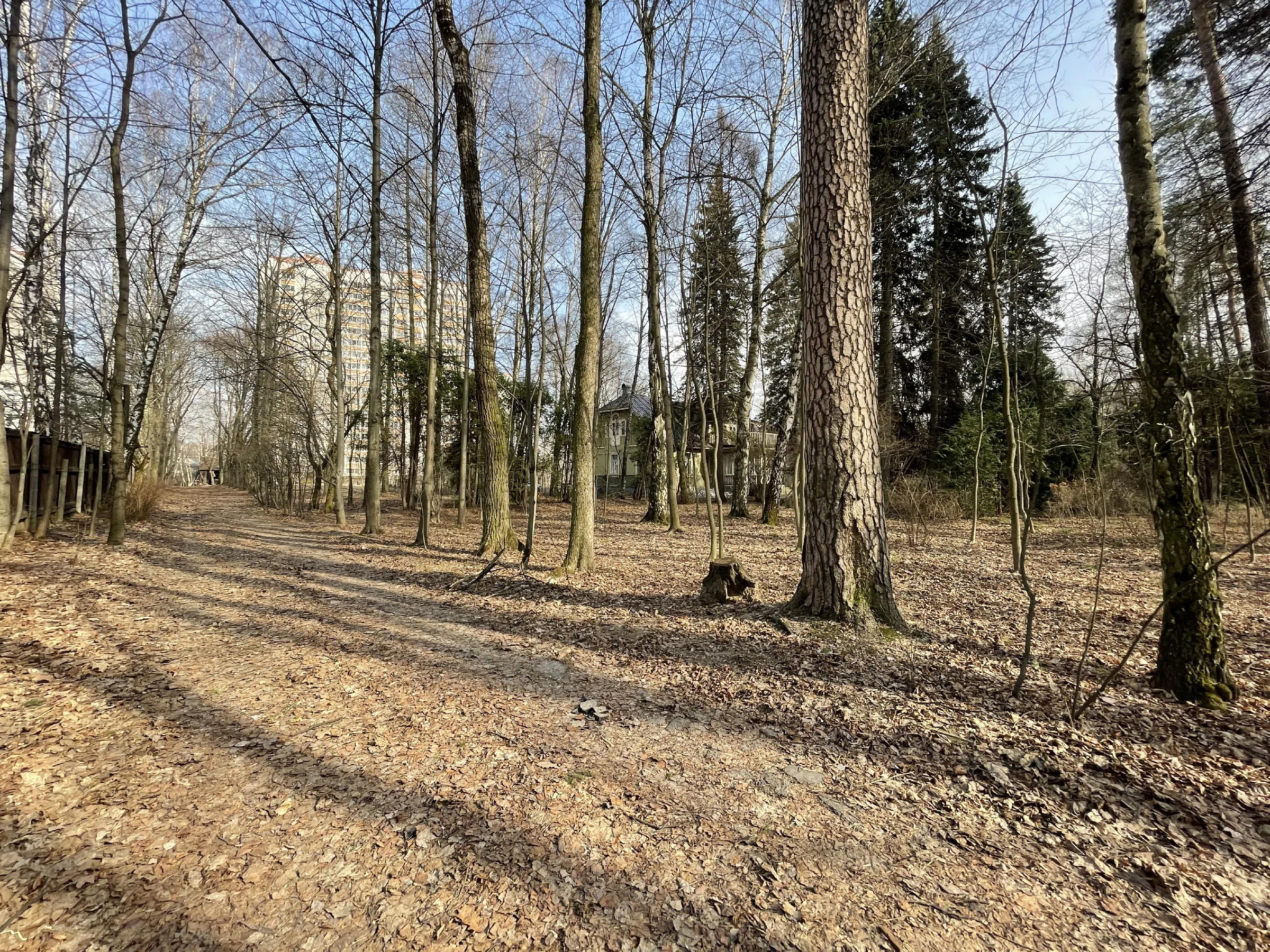 Дача в лесной аллее, фото 3