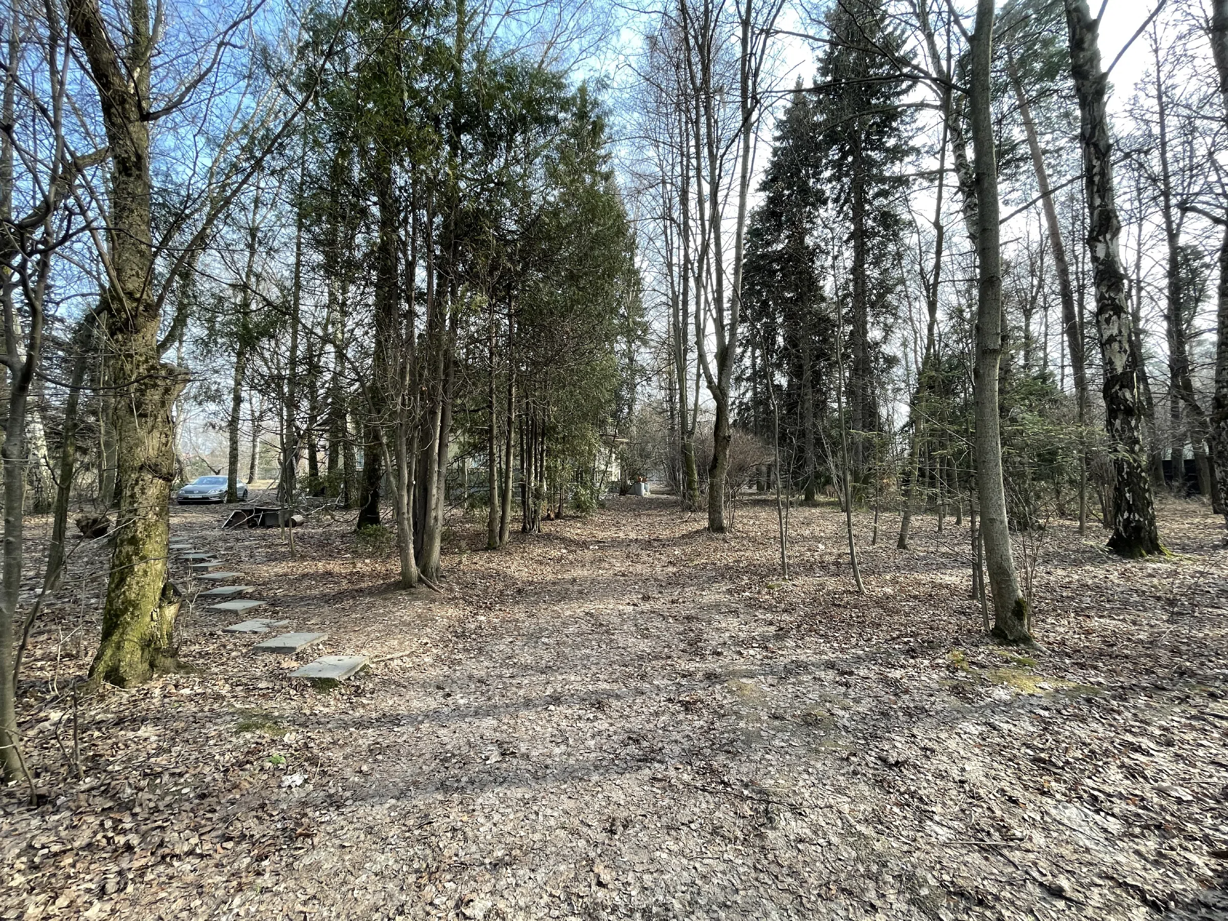 Дача в лесной аллее, фото 4