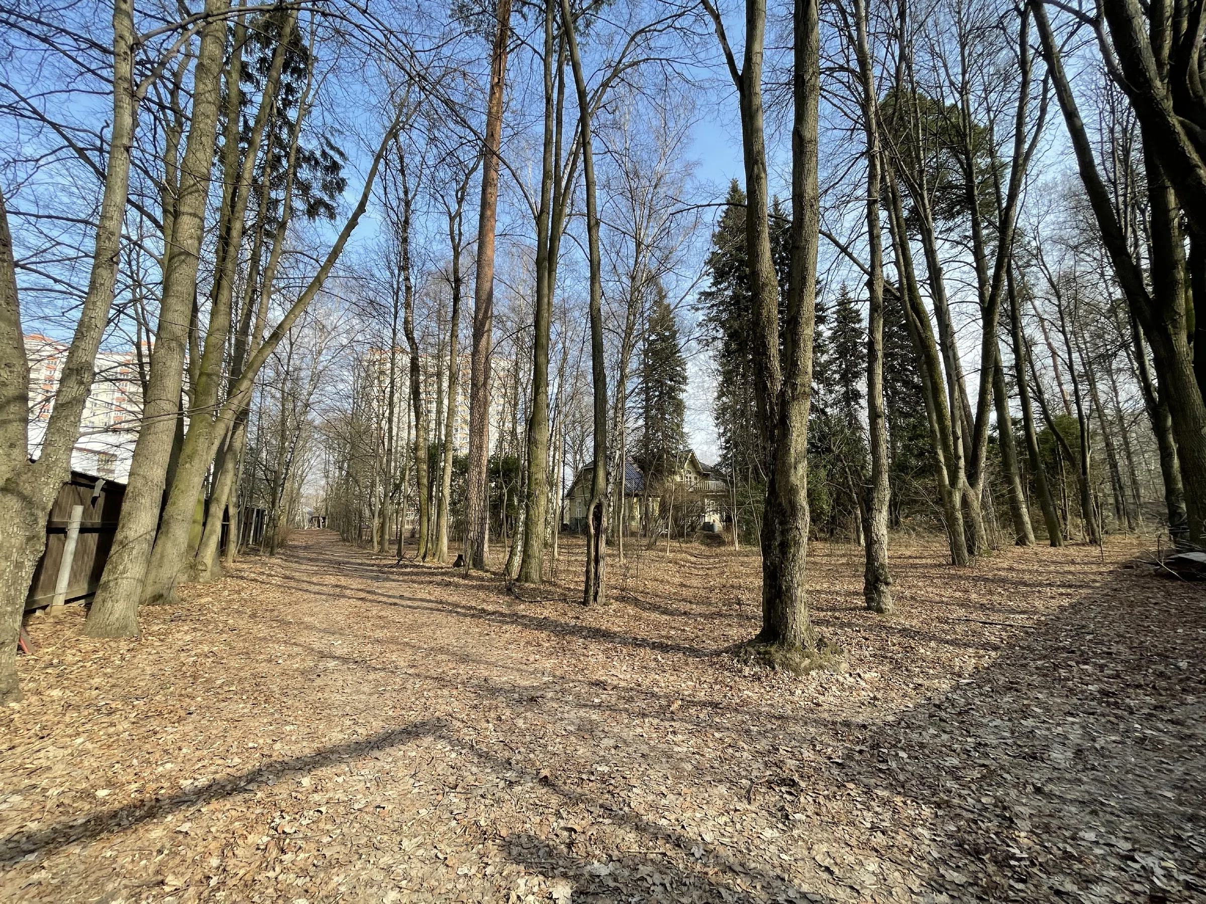 Дача в лесной аллее, фото 1