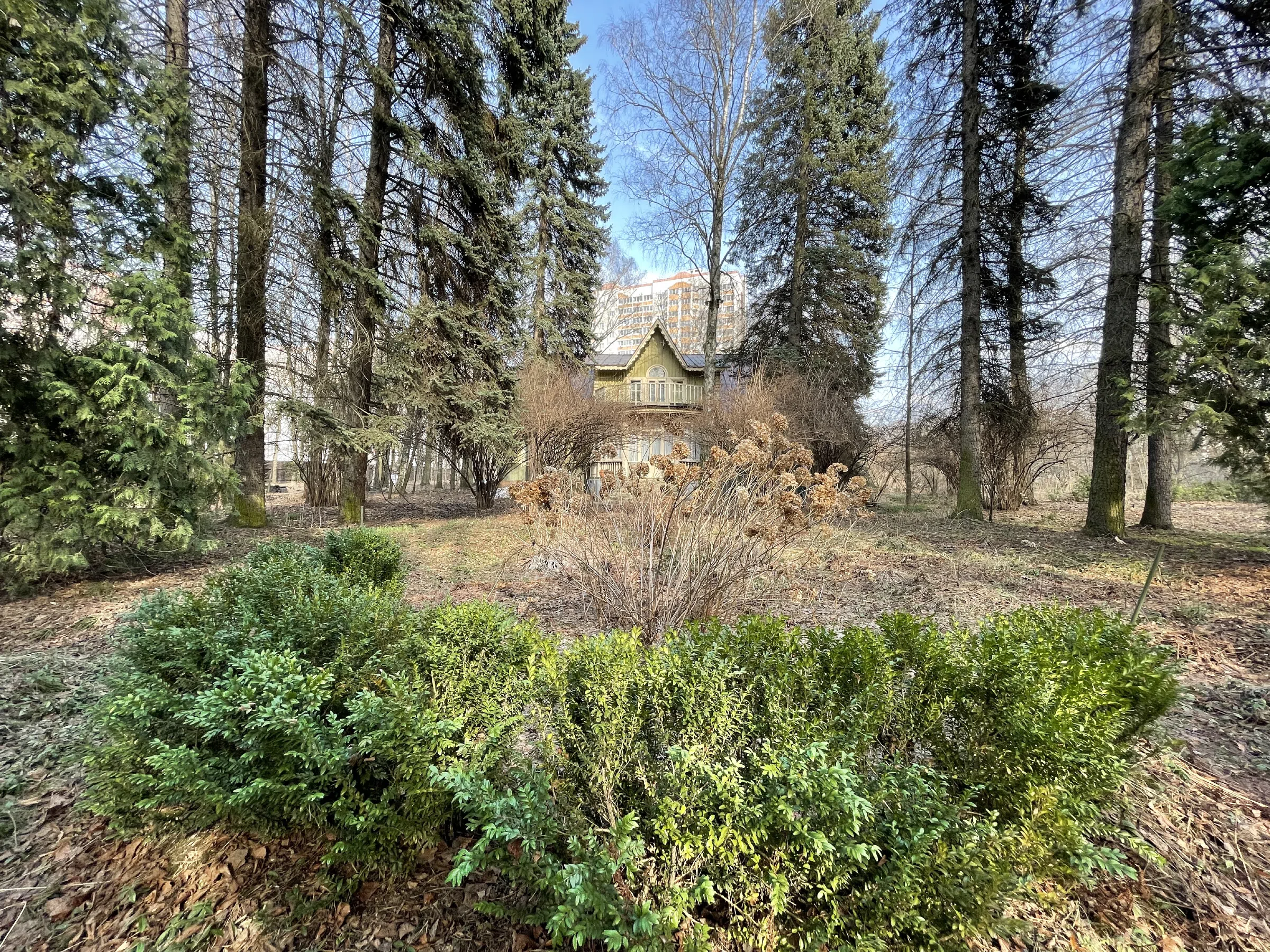 Дача в лесной аллее, фото 10
