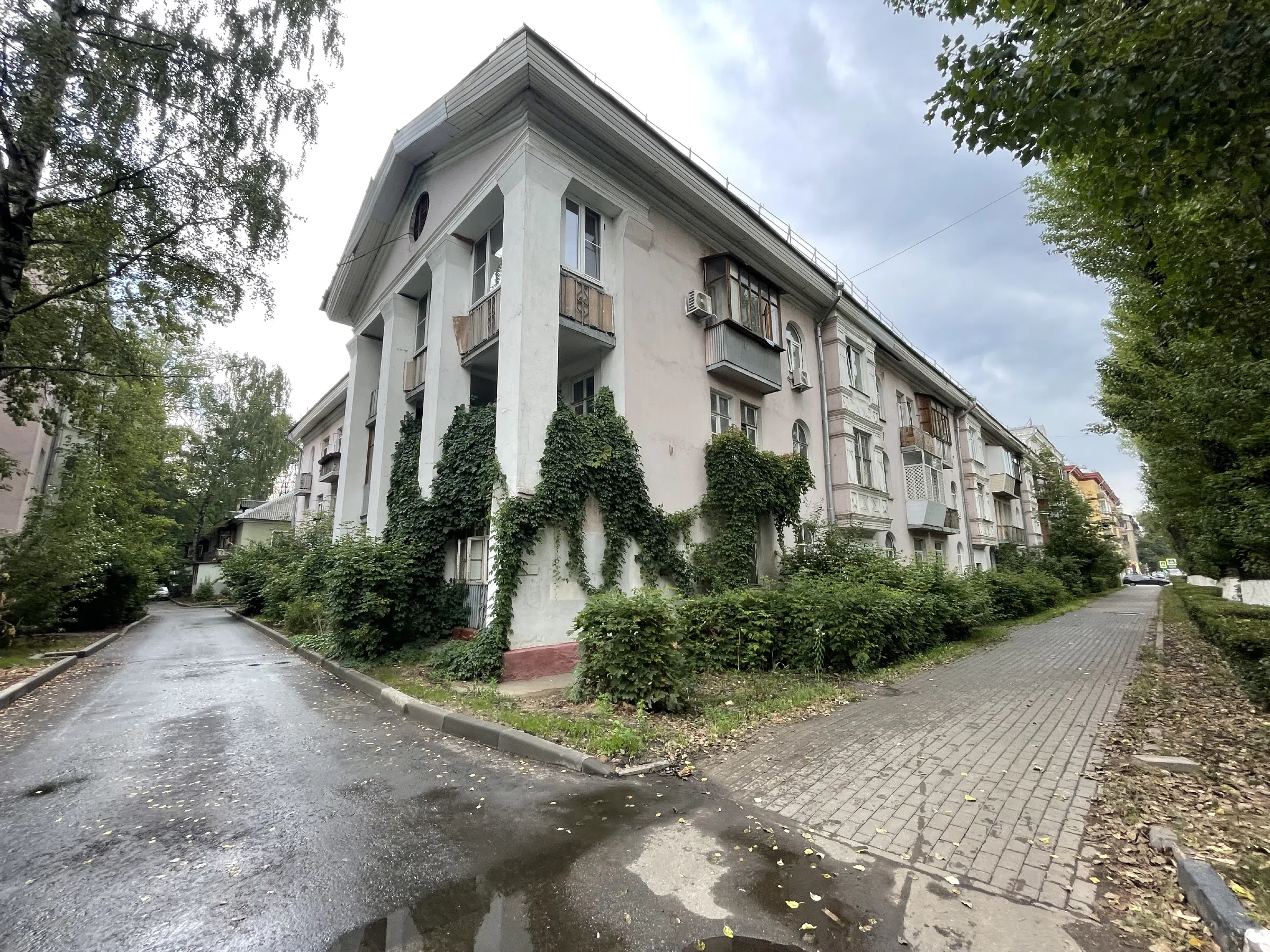 Сталинка с лианами, фото 1