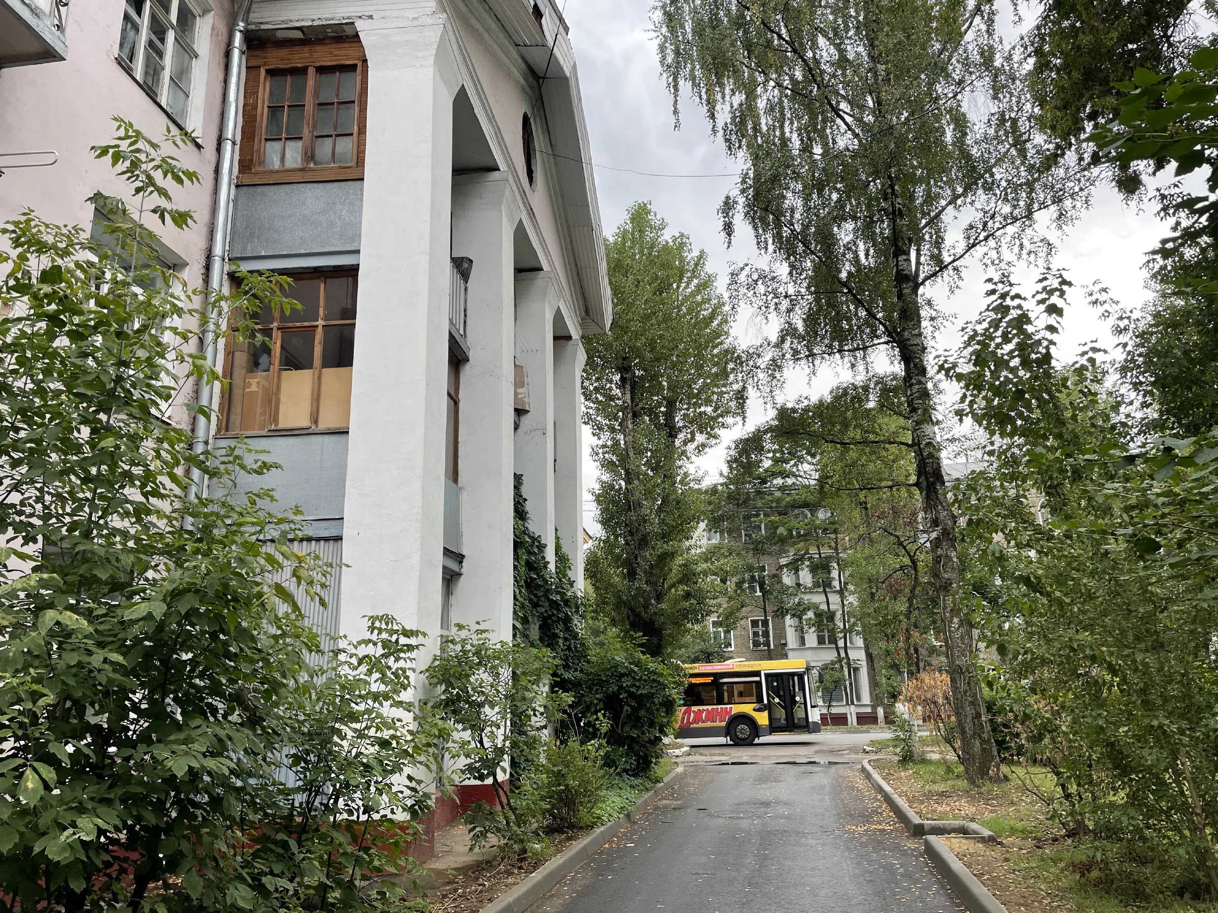 Сталинка с лианами, фото 5