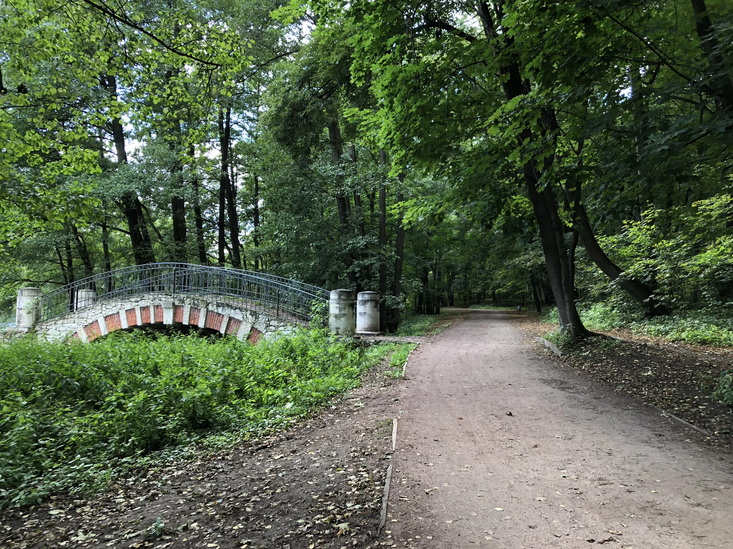 Зеленый парк с беседкой, фото 22